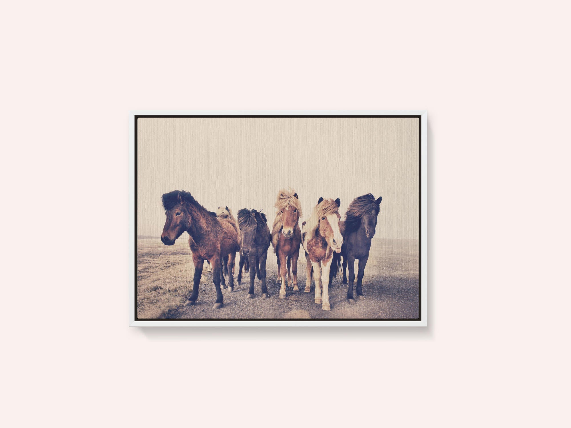 Horses