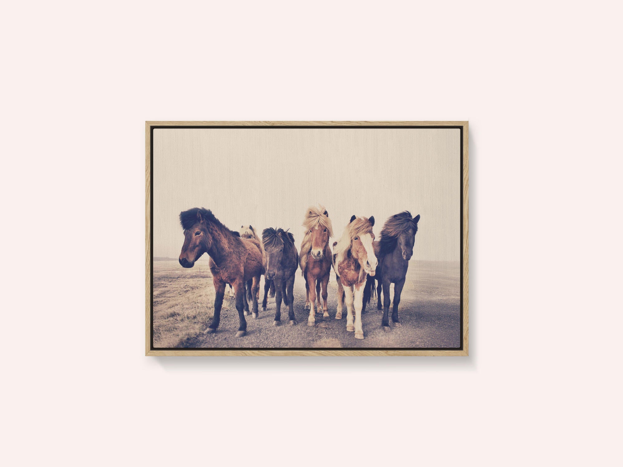 Horses