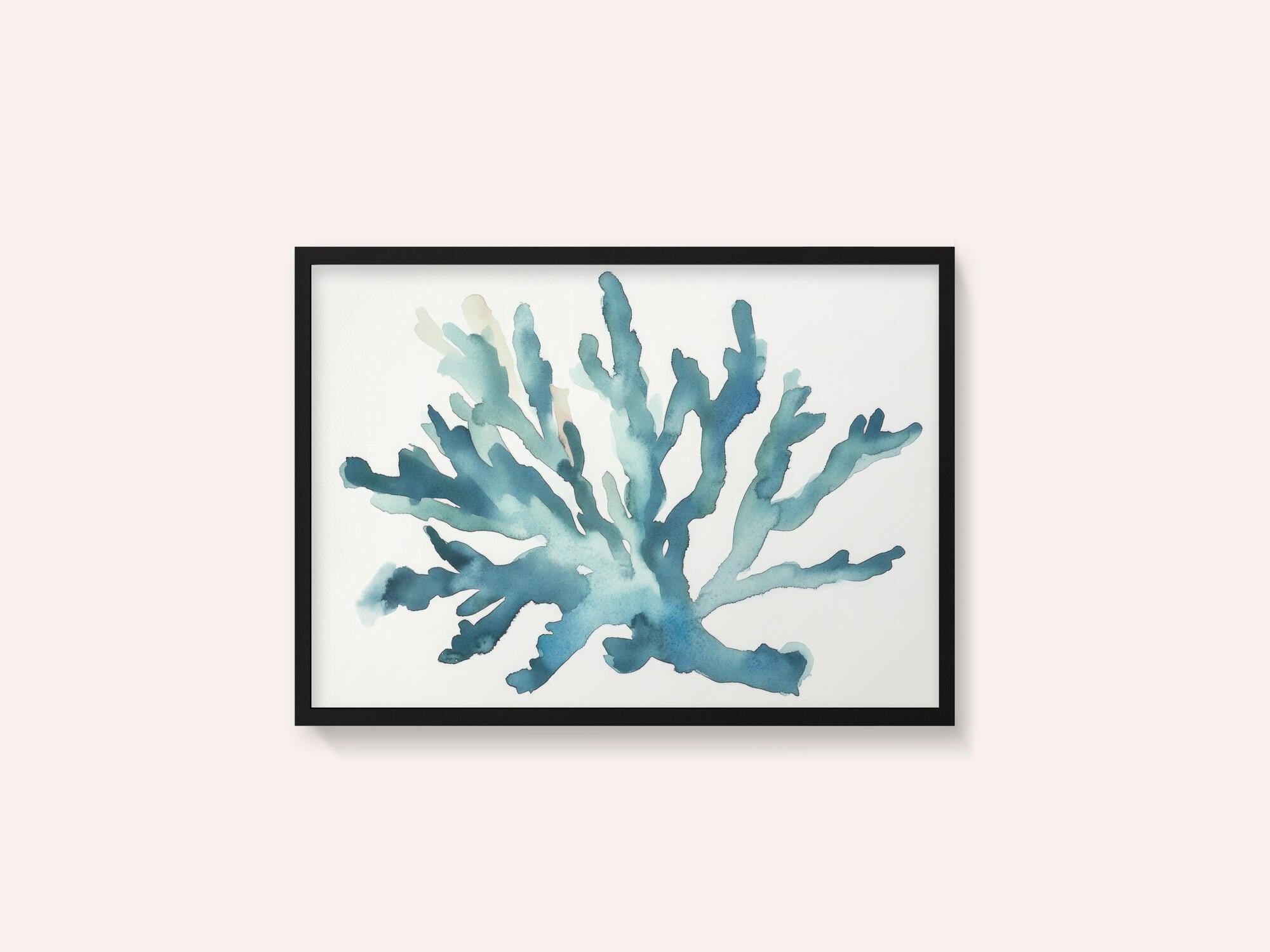 Turqoiuse Coral