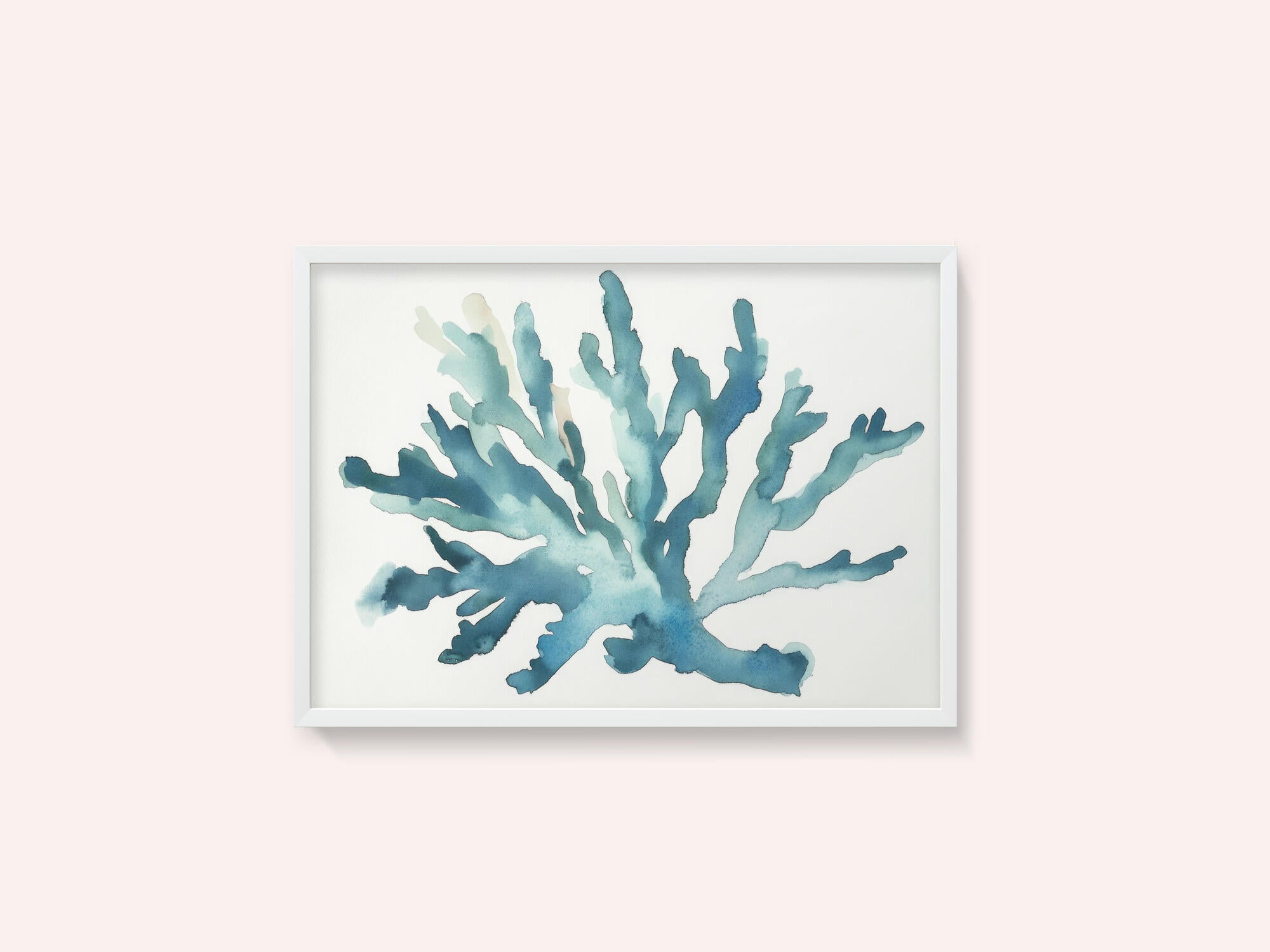 Turqoiuse Coral