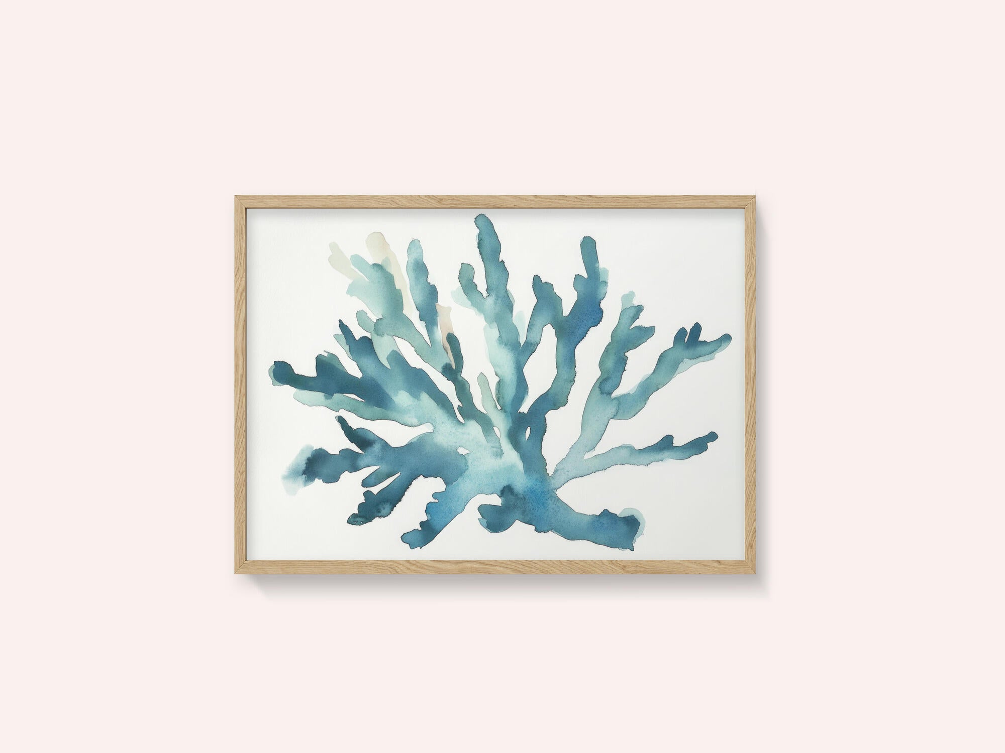 Turqoiuse Coral