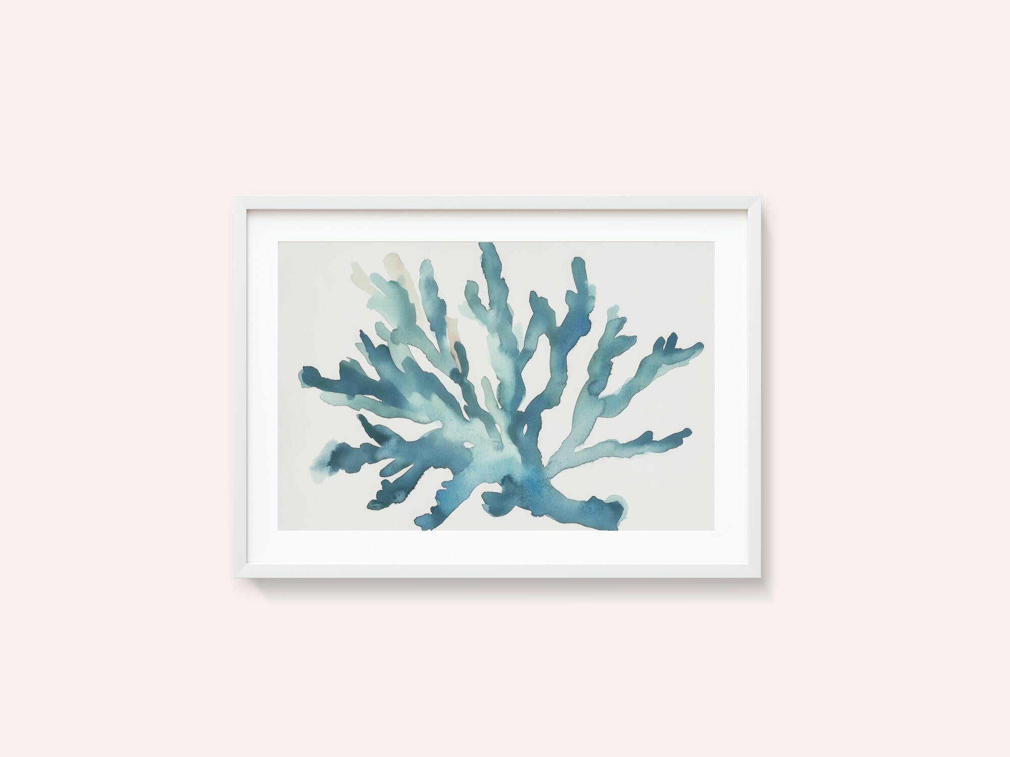 Turqoiuse Coral