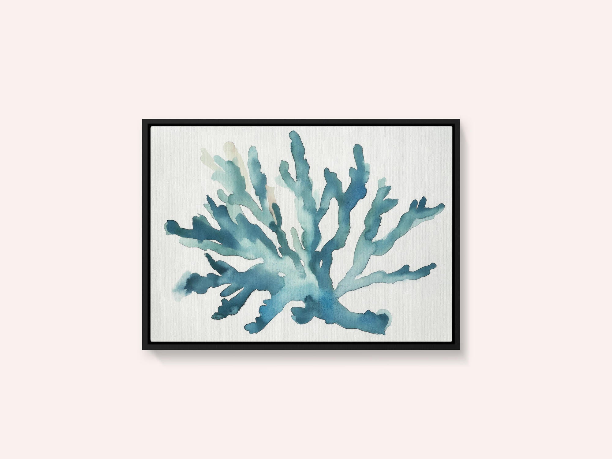 Turqoiuse Coral