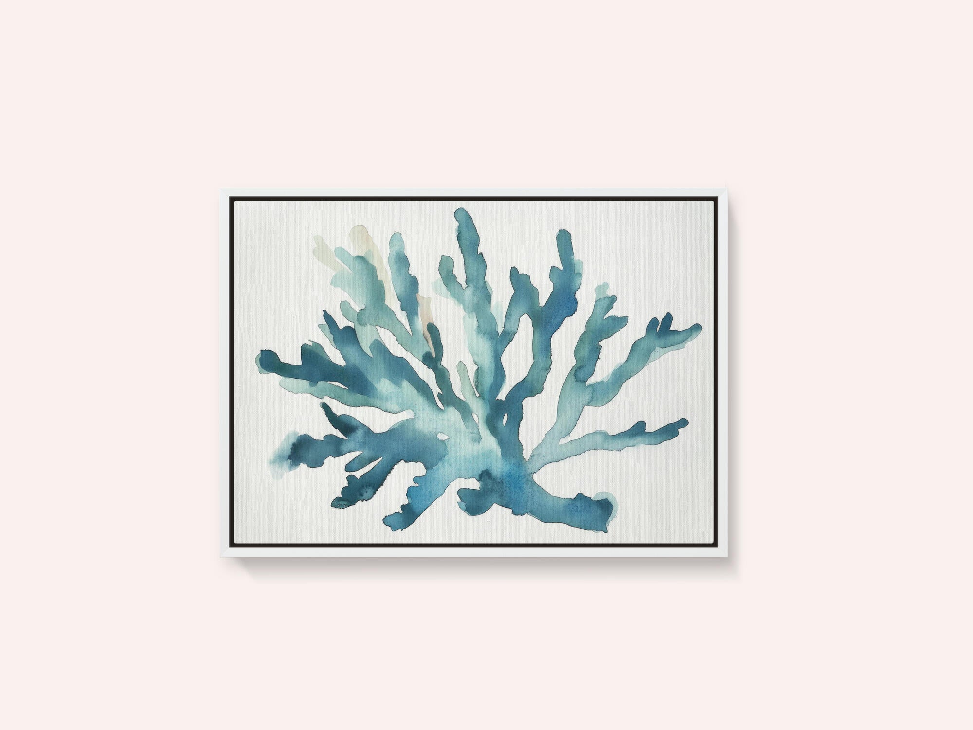 Turqoiuse Coral