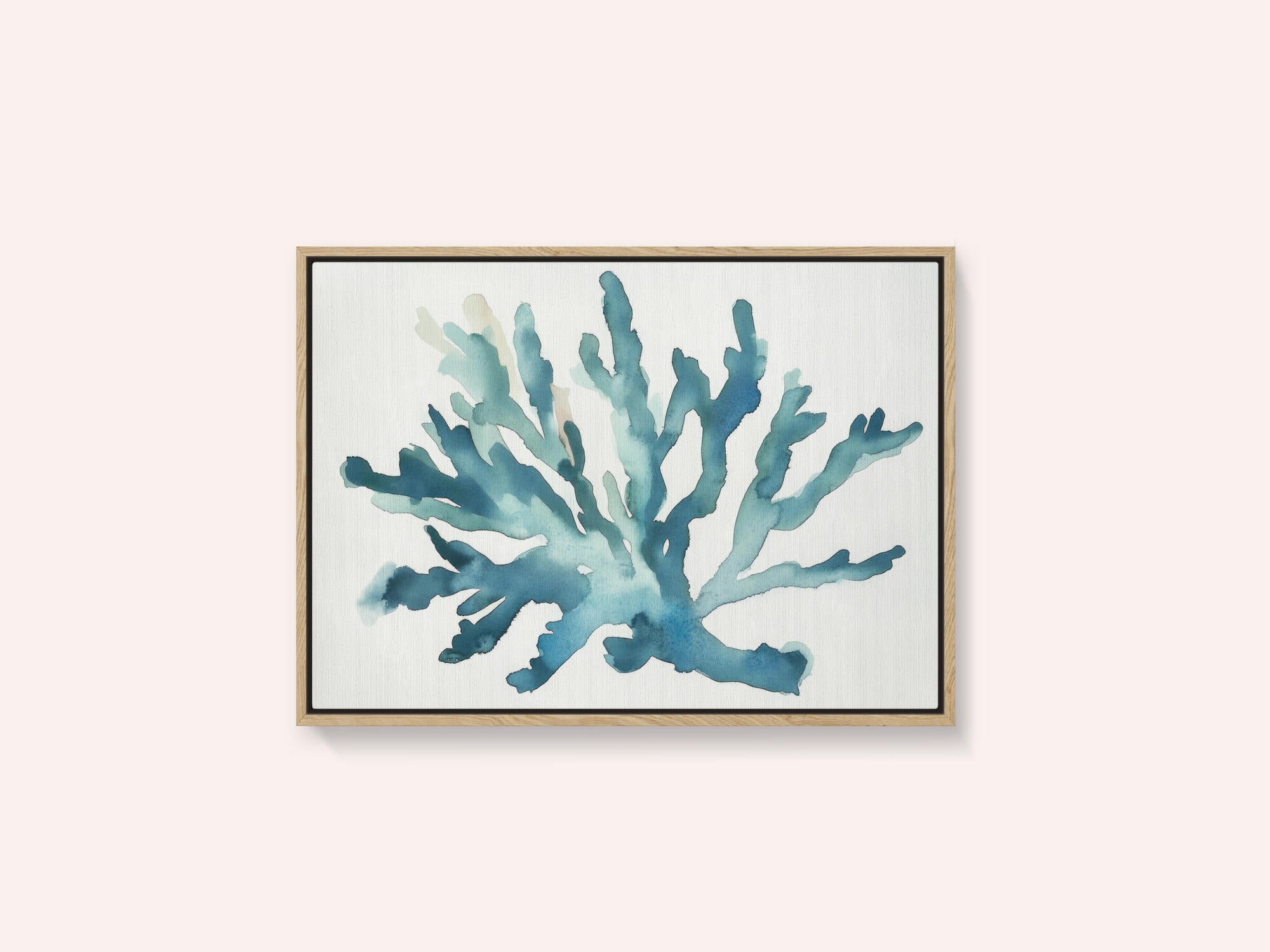 Turqoiuse Coral