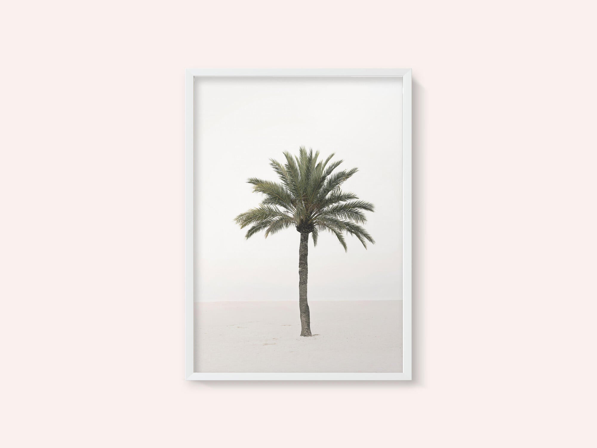 Palm