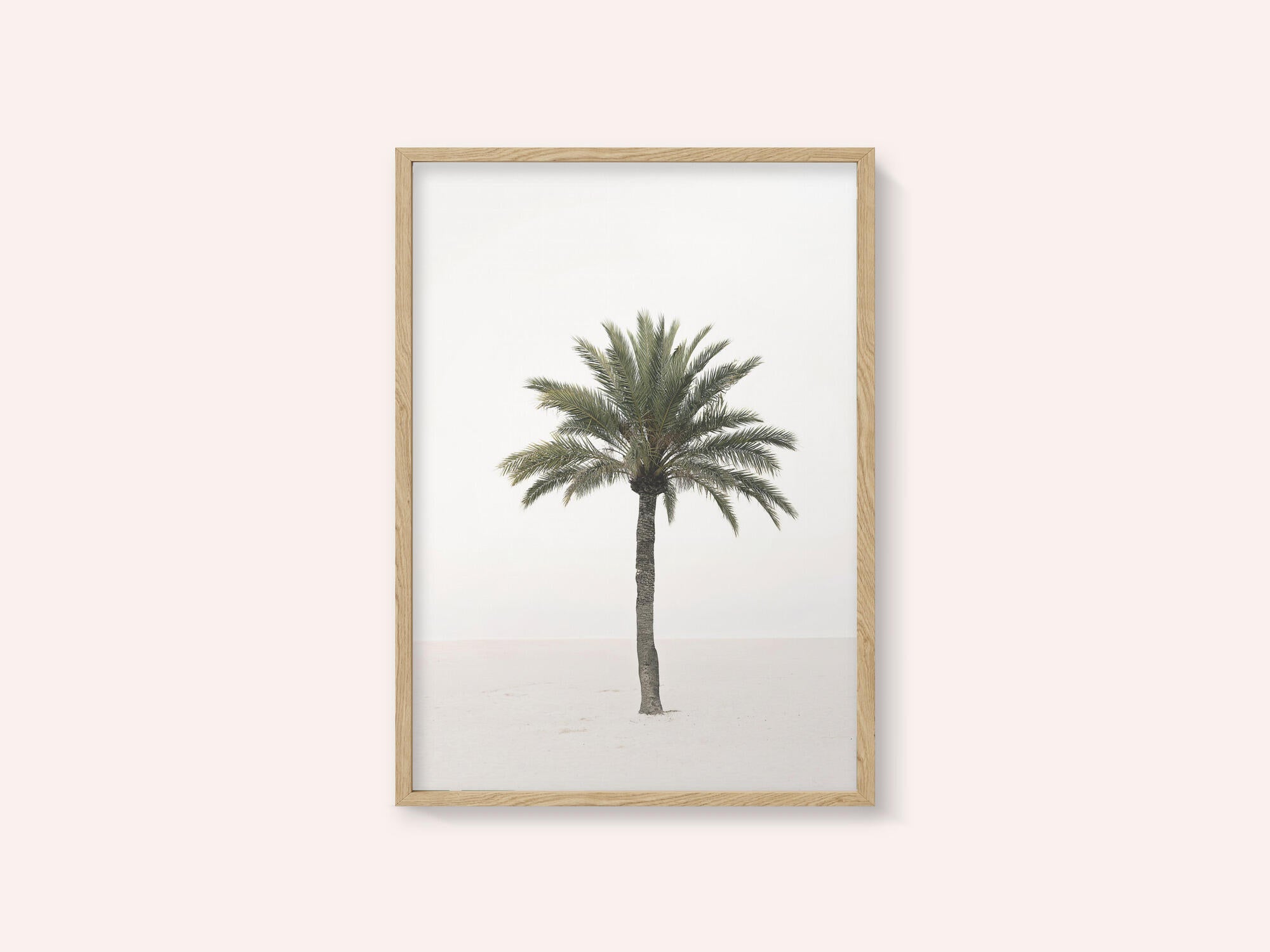 Palm