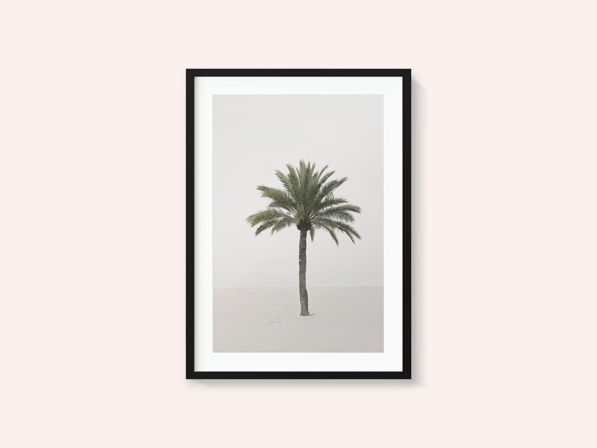 Palm