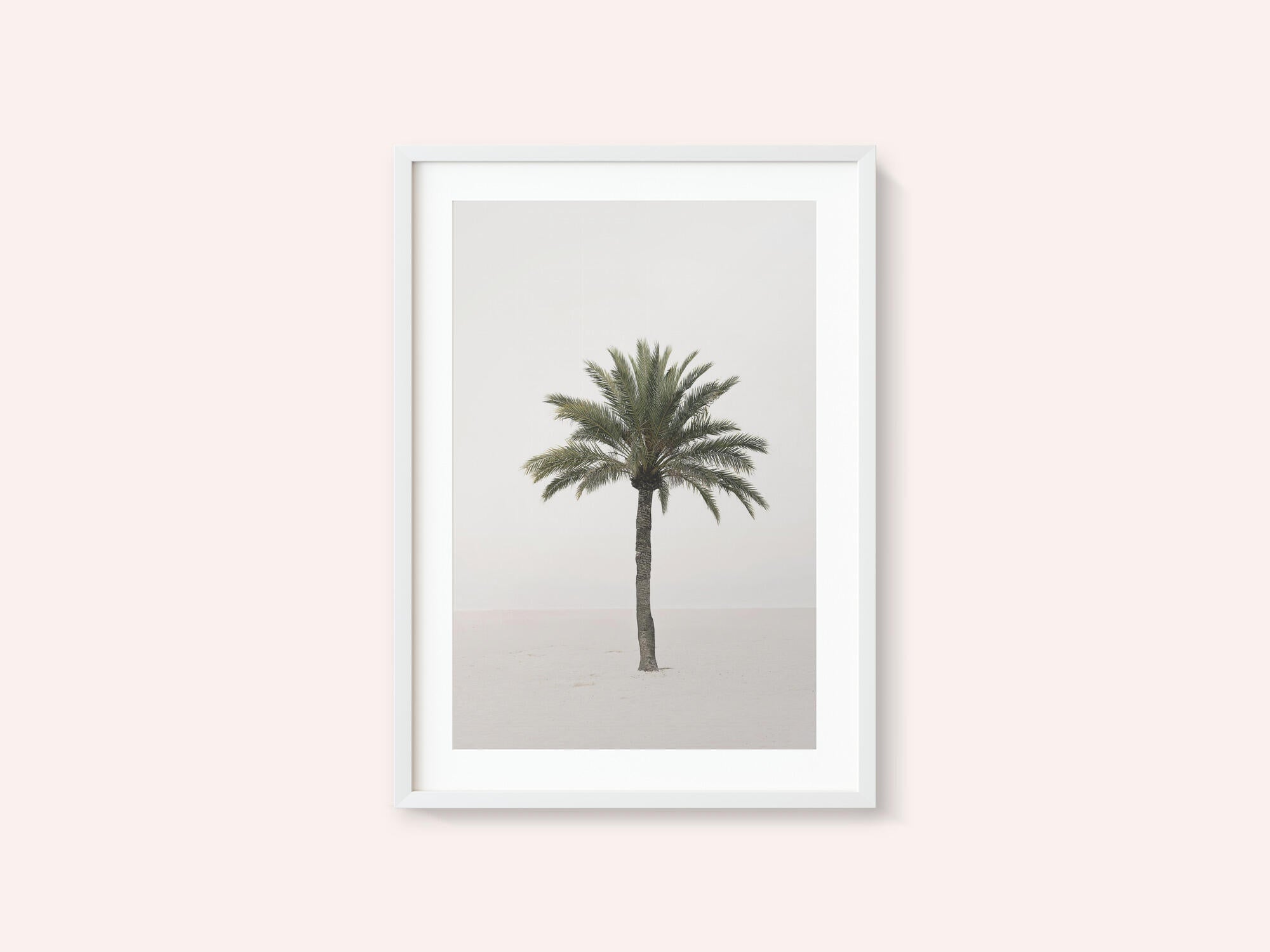 Palm