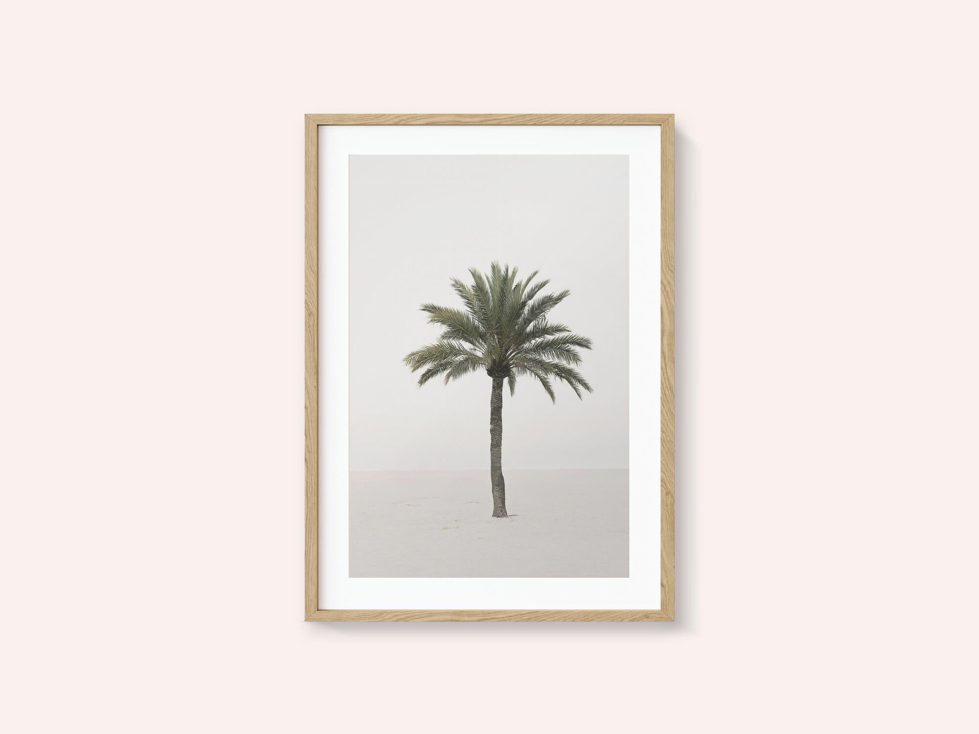 Palm