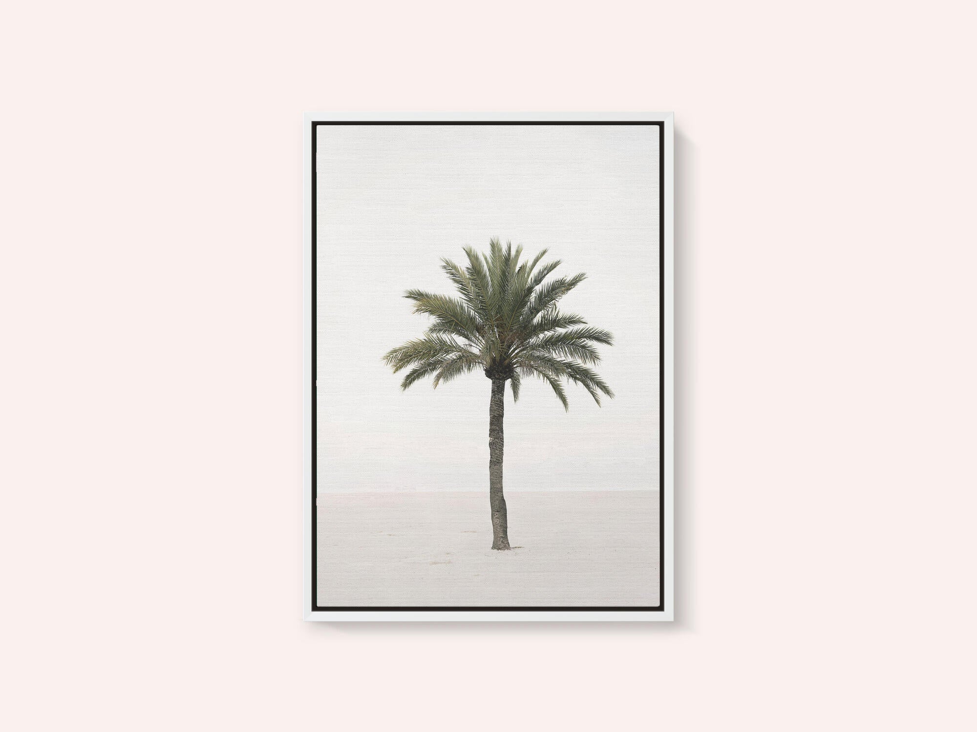 Palm