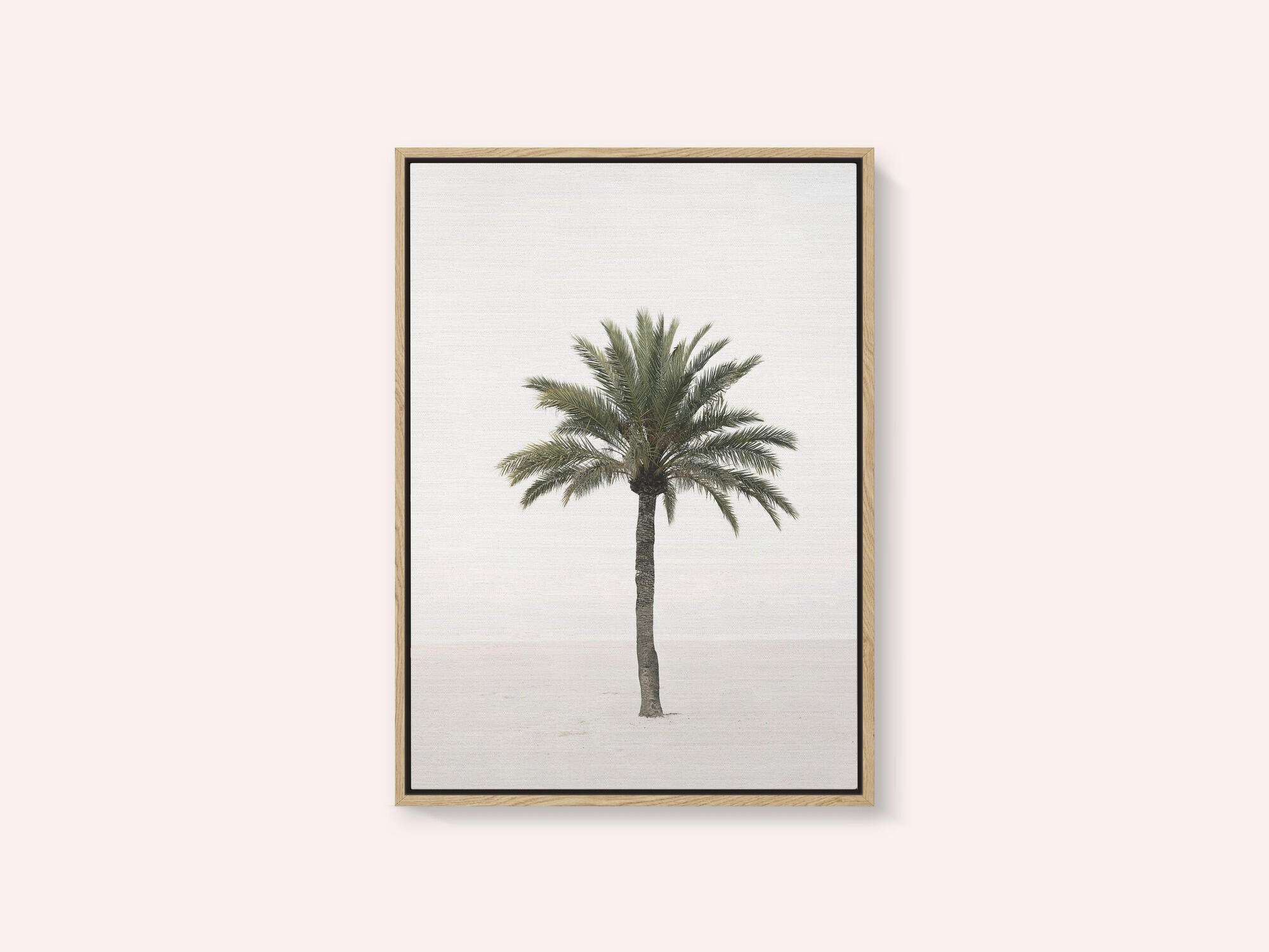Palm