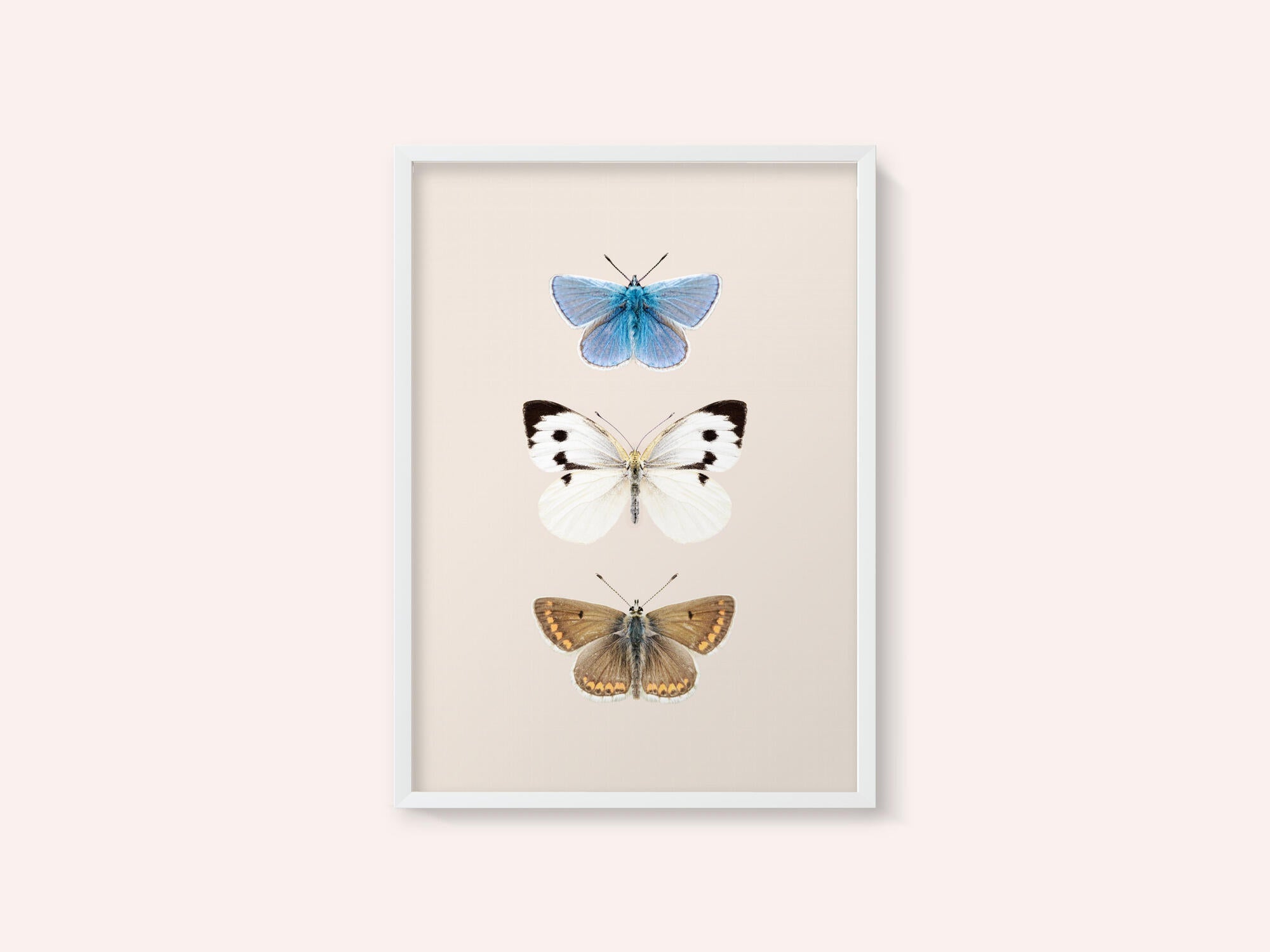 English Butterlies 2