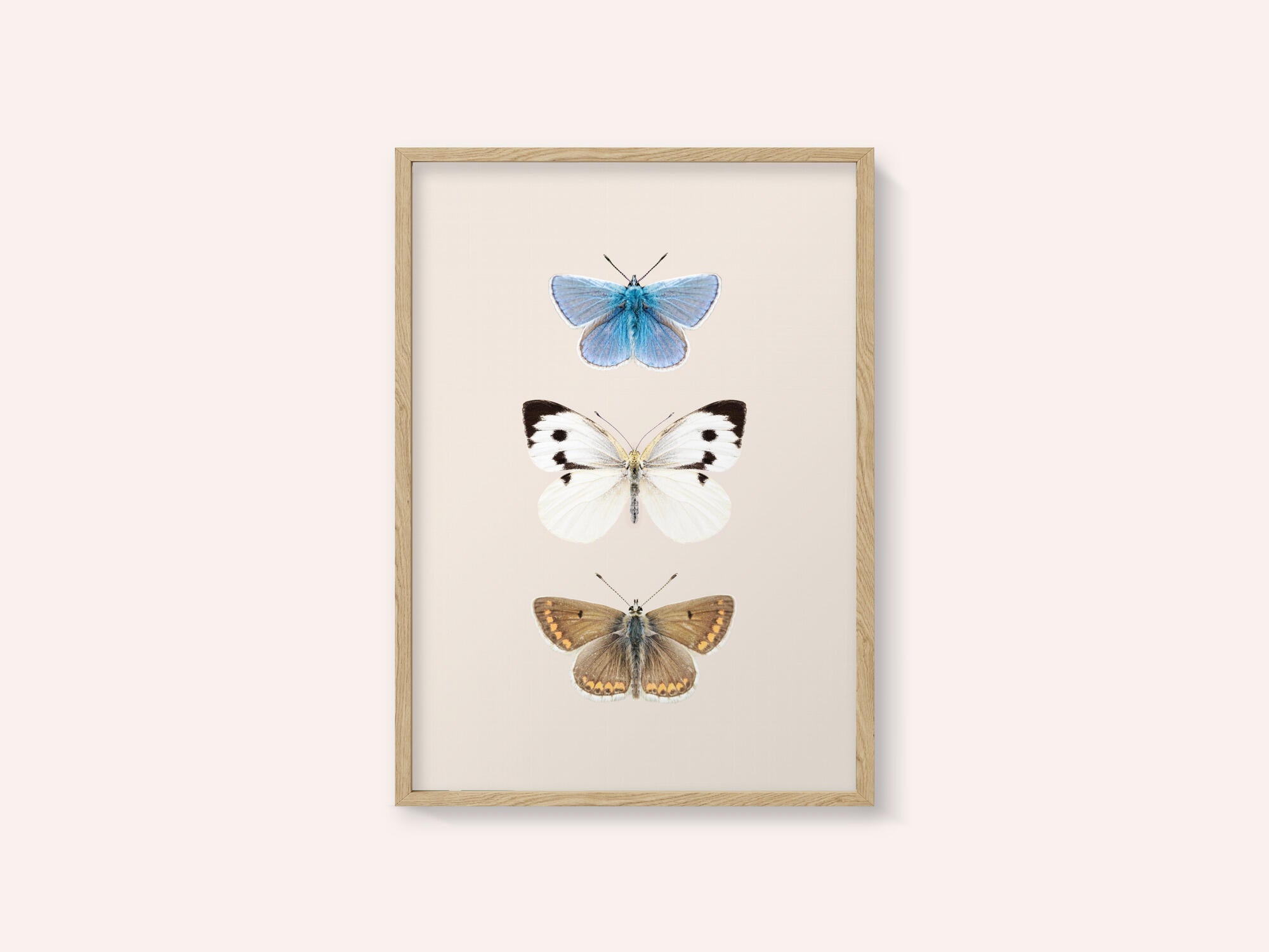 English Butterlies 2