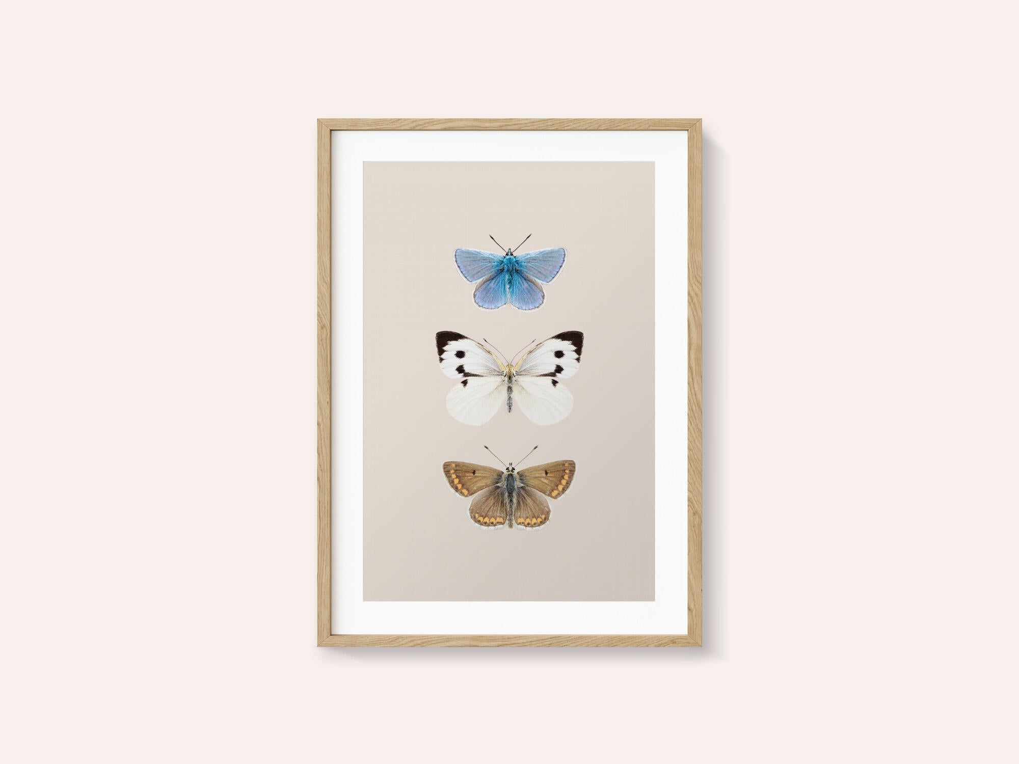 English Butterlies 2