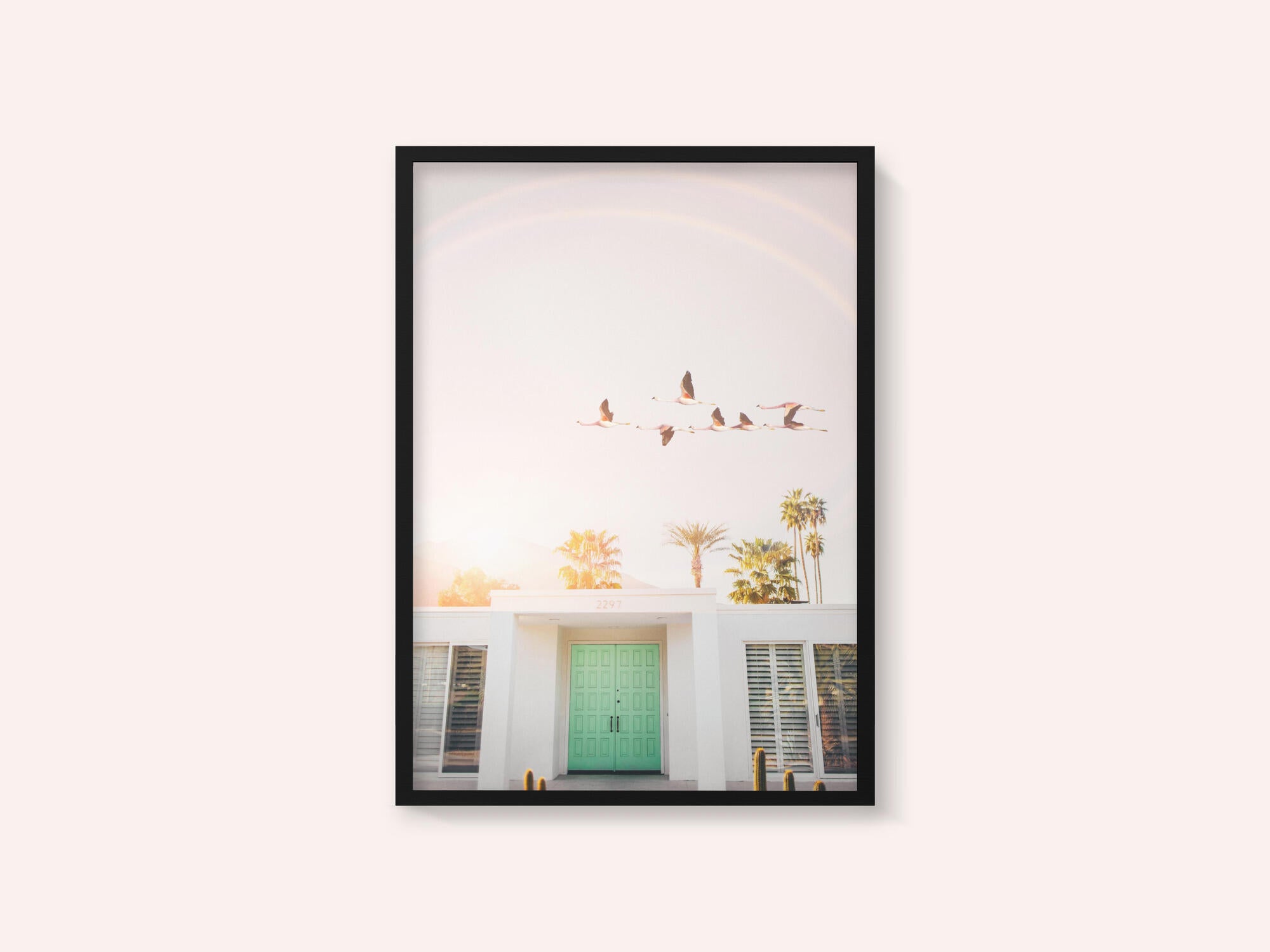 Flamingos In Palm Springs