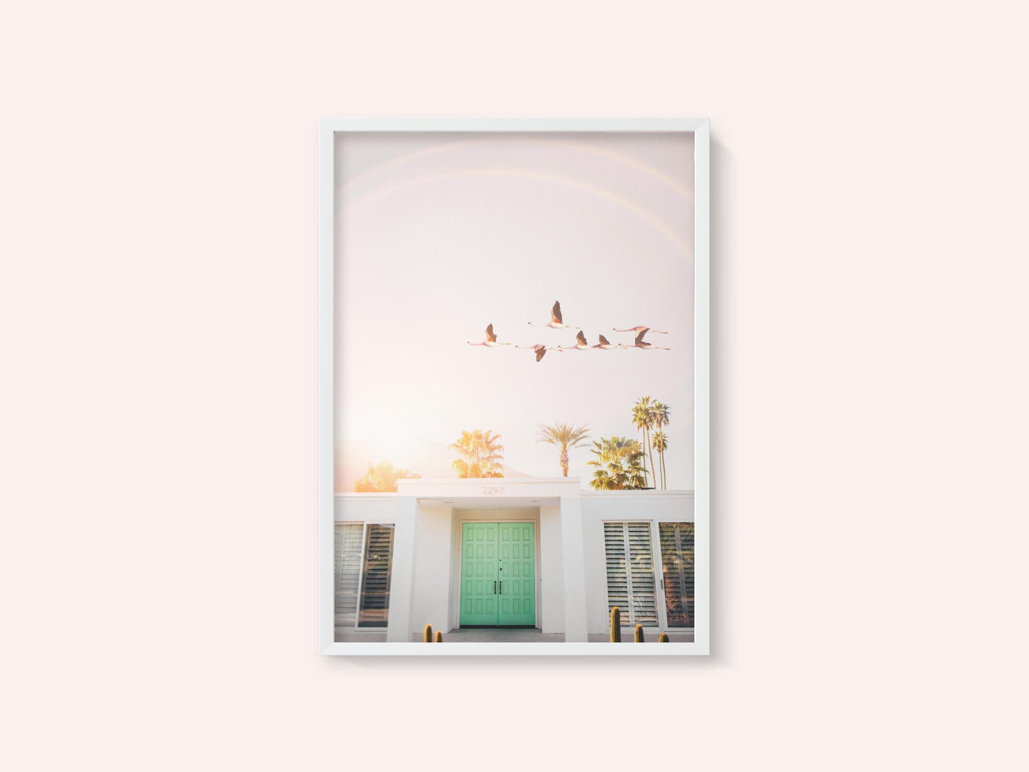 Flamingos In Palm Springs