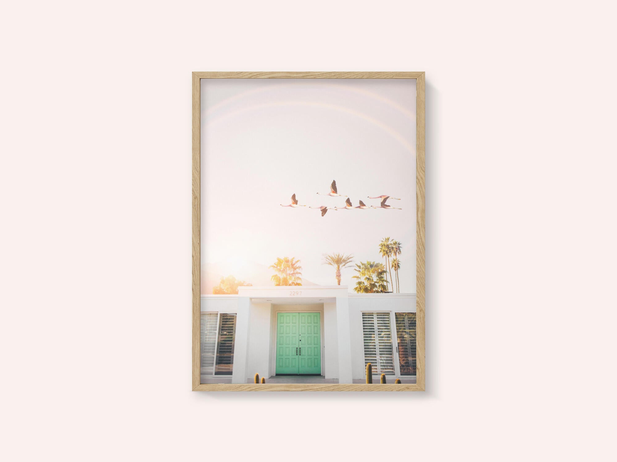 Flamingos In Palm Springs