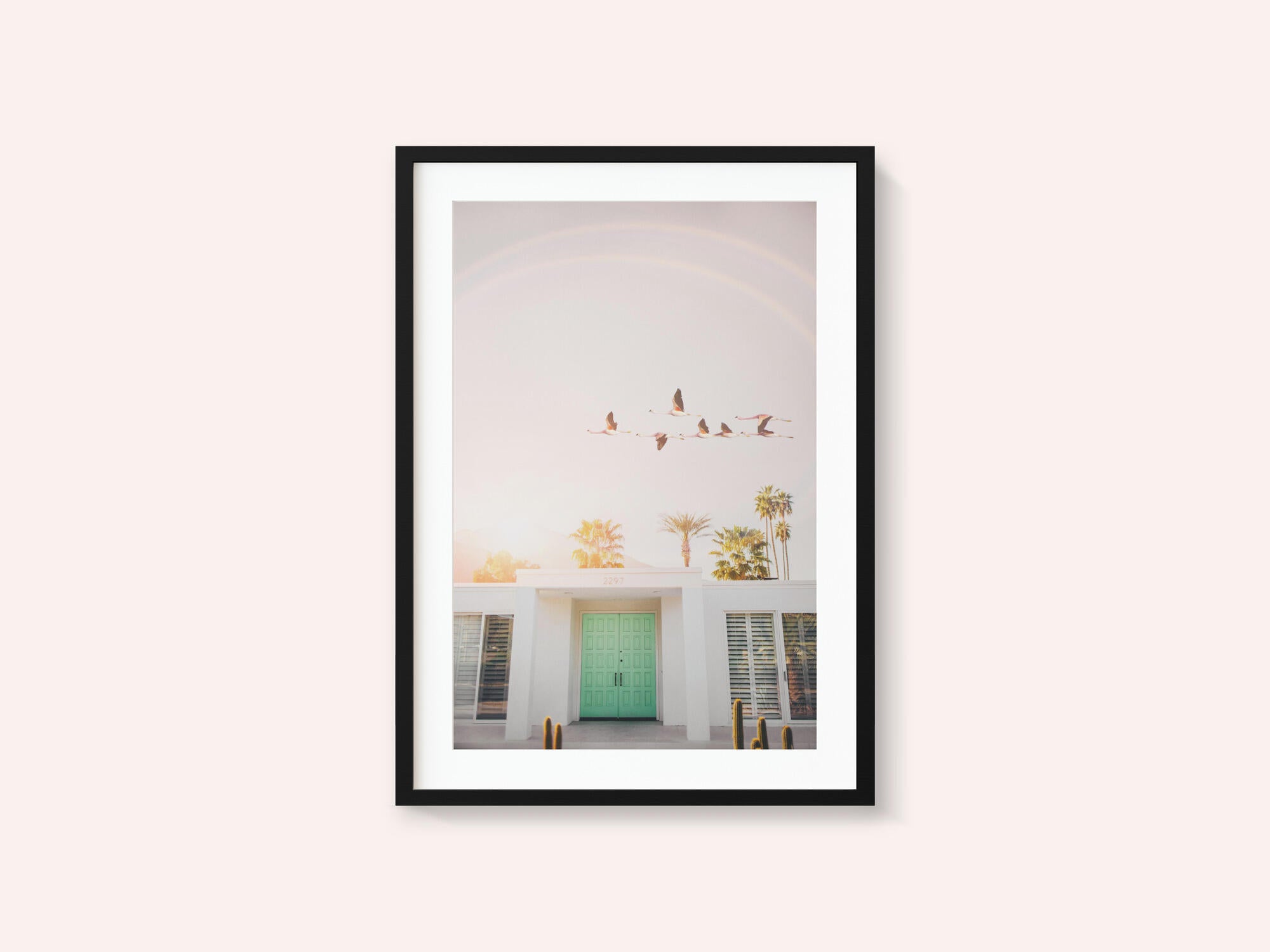Flamingos In Palm Springs