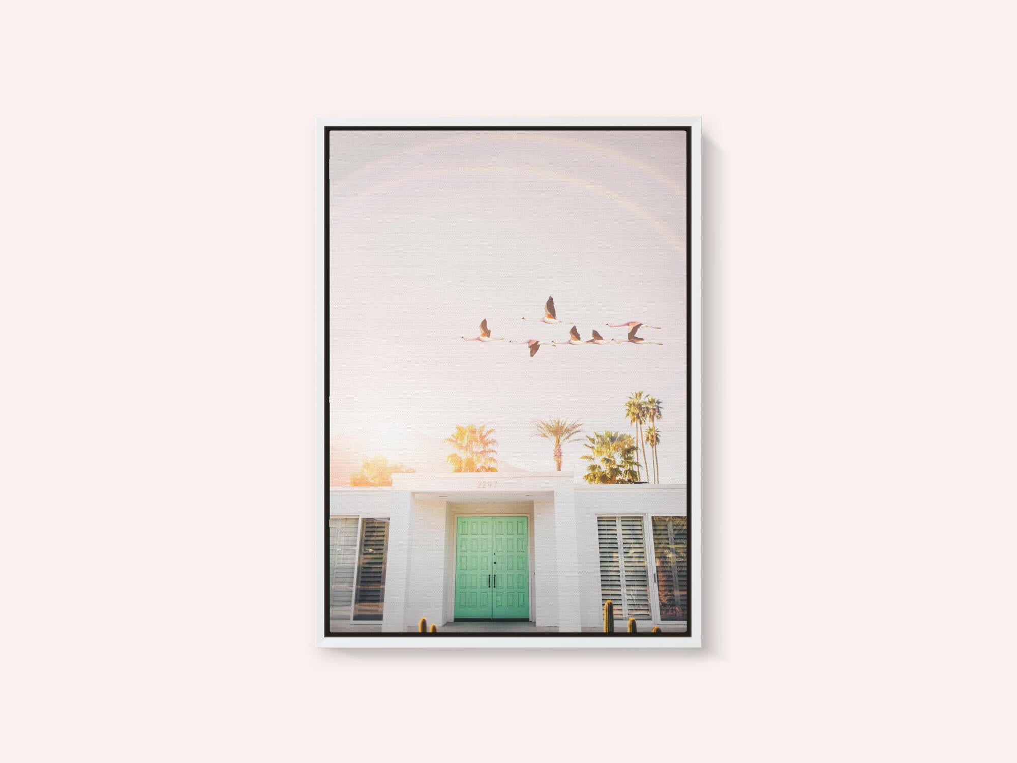 Flamingos In Palm Springs