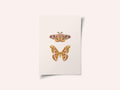 Moths