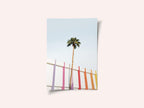 Palm Spring Colors 2