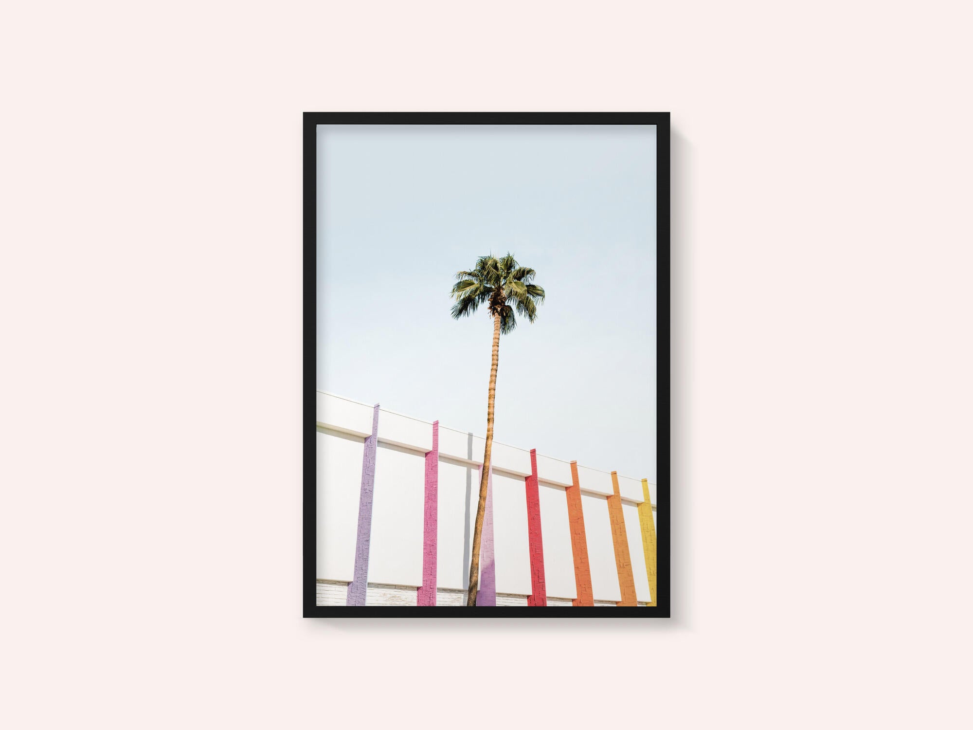 Palm Spring Colors 2