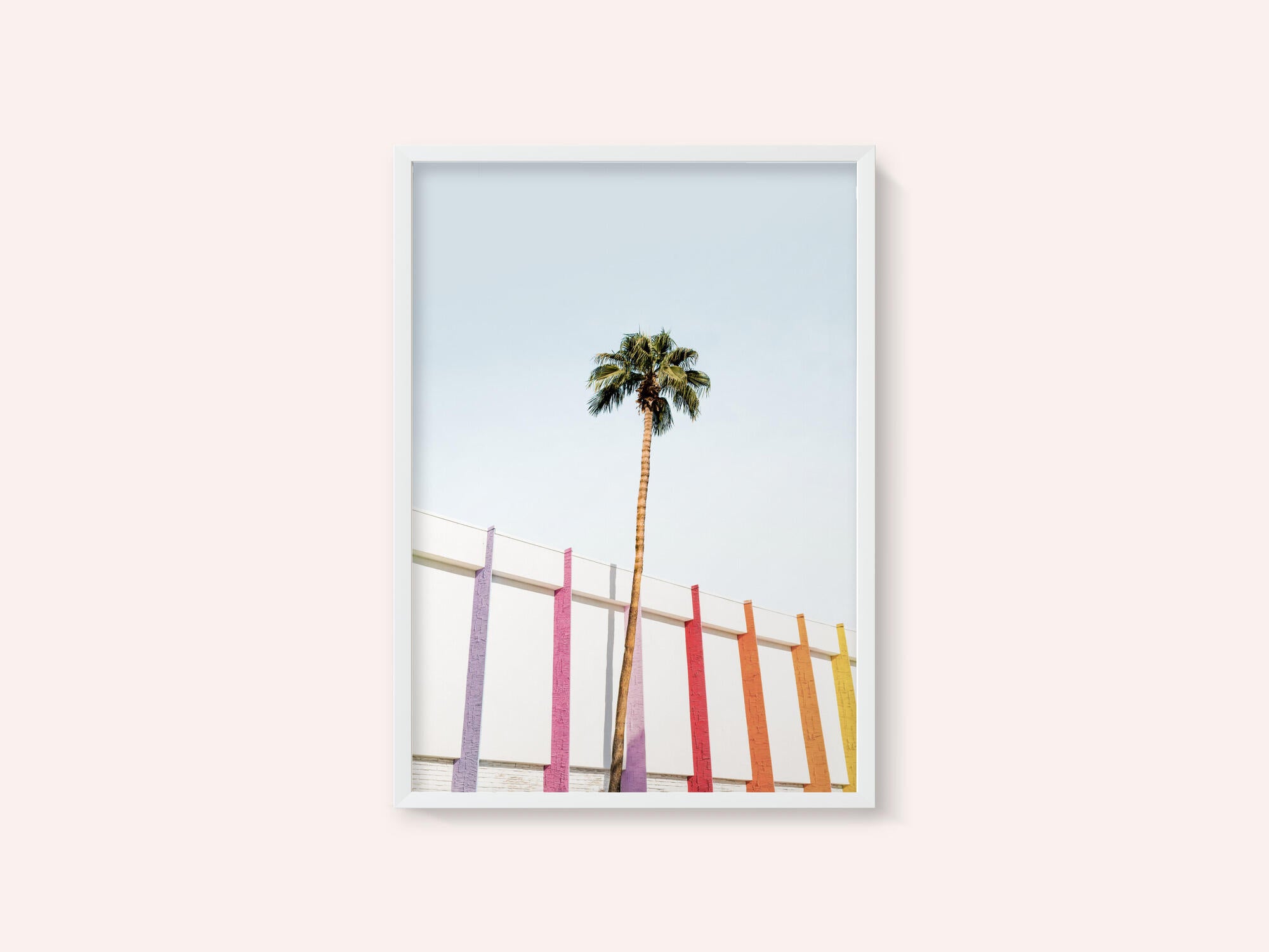 Palm Spring Colors 2