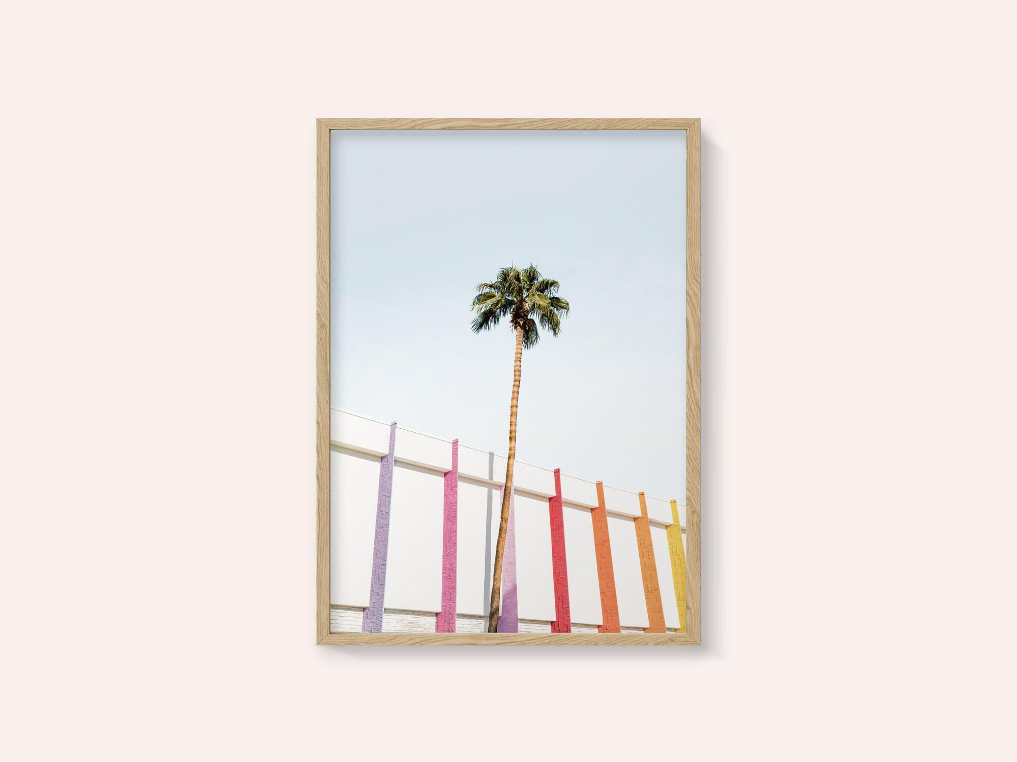 Palm Spring Colors 2