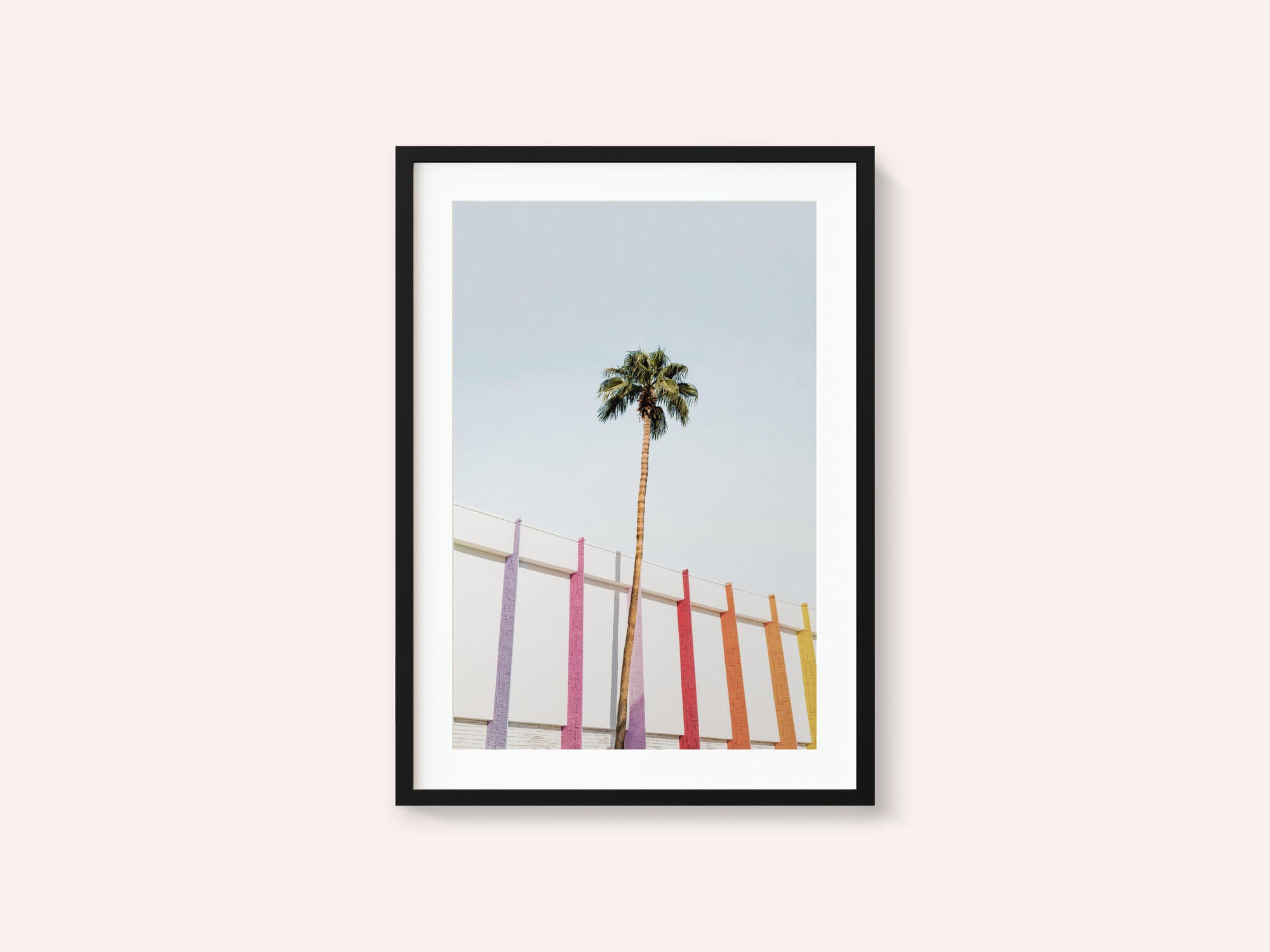 Palm Spring Colors 2