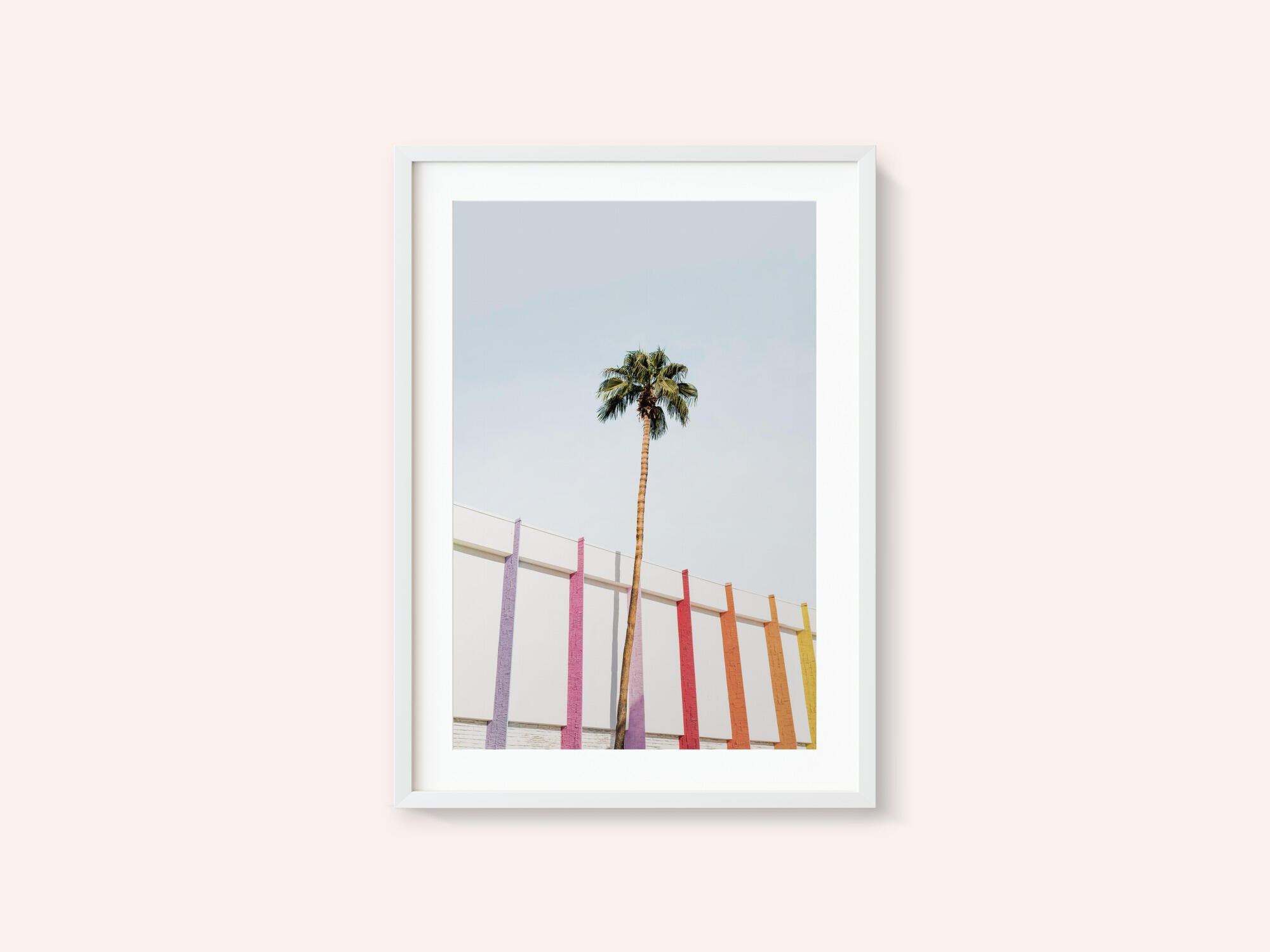Palm Spring Colors 2