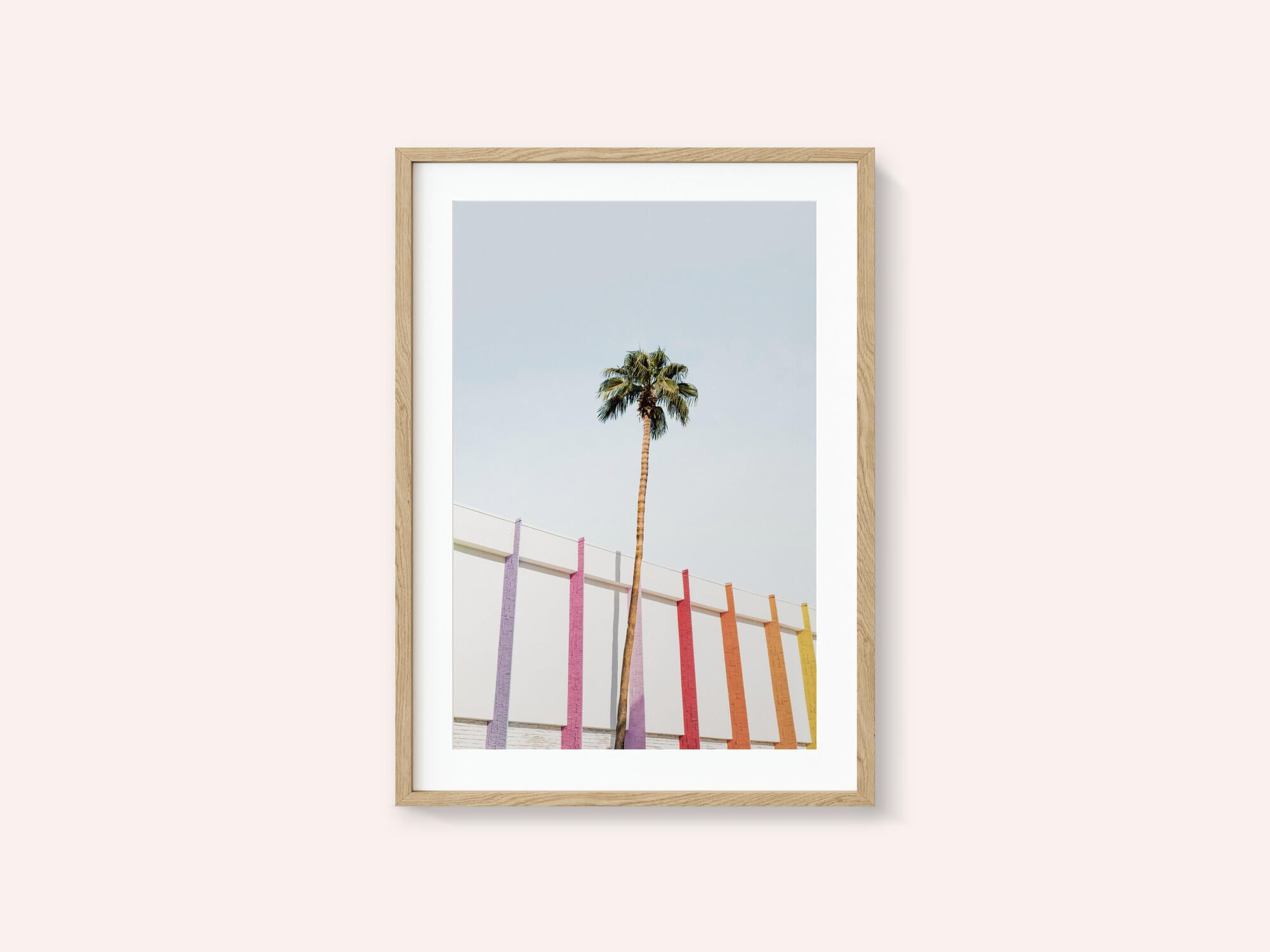 Palm Spring Colors 2