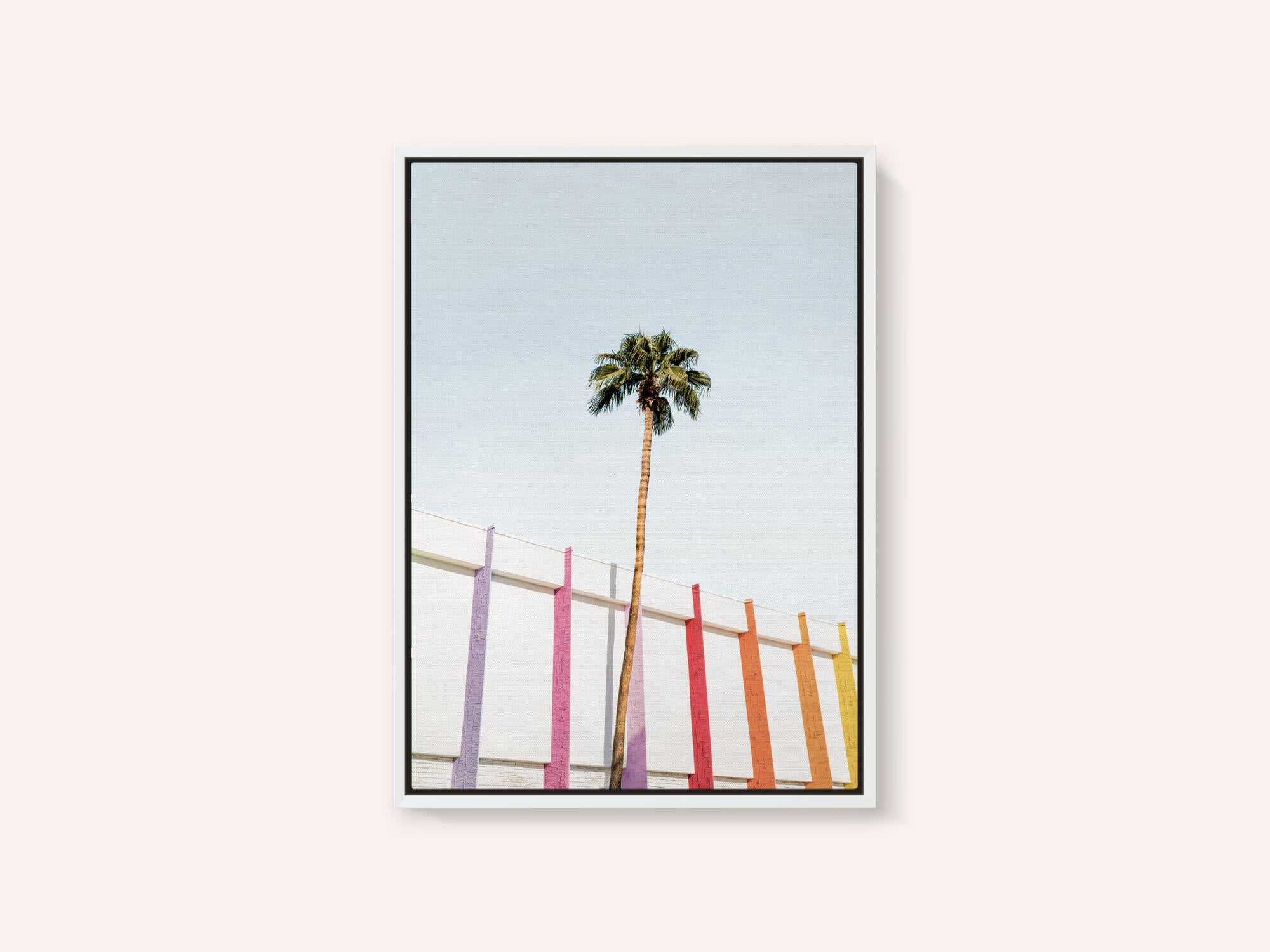 Palm Spring Colors 2