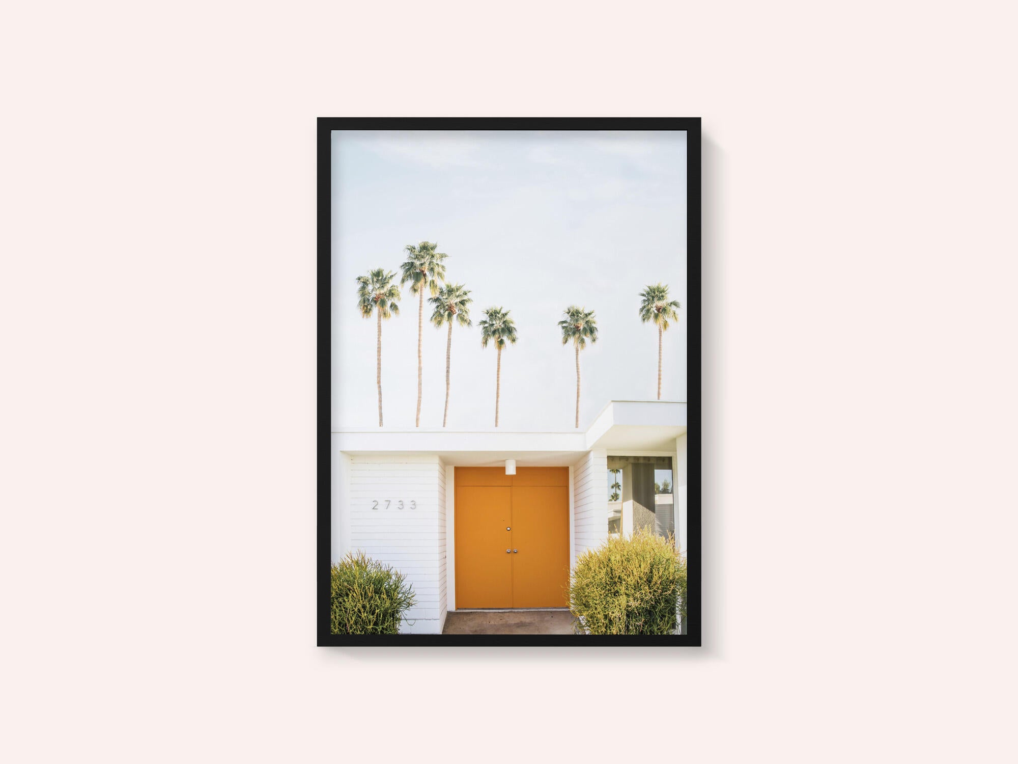 Palm Springs 1