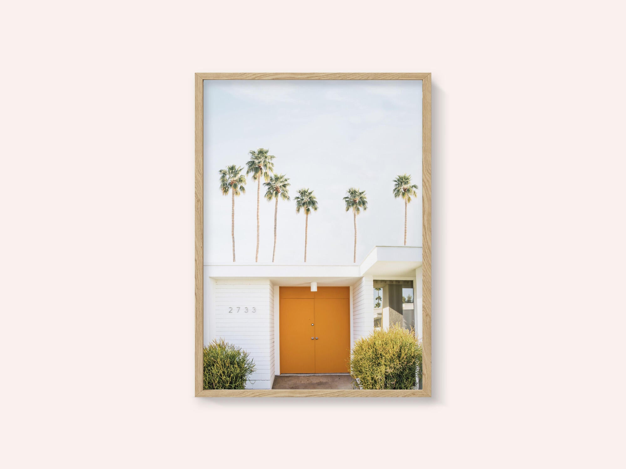 Palm Springs 1