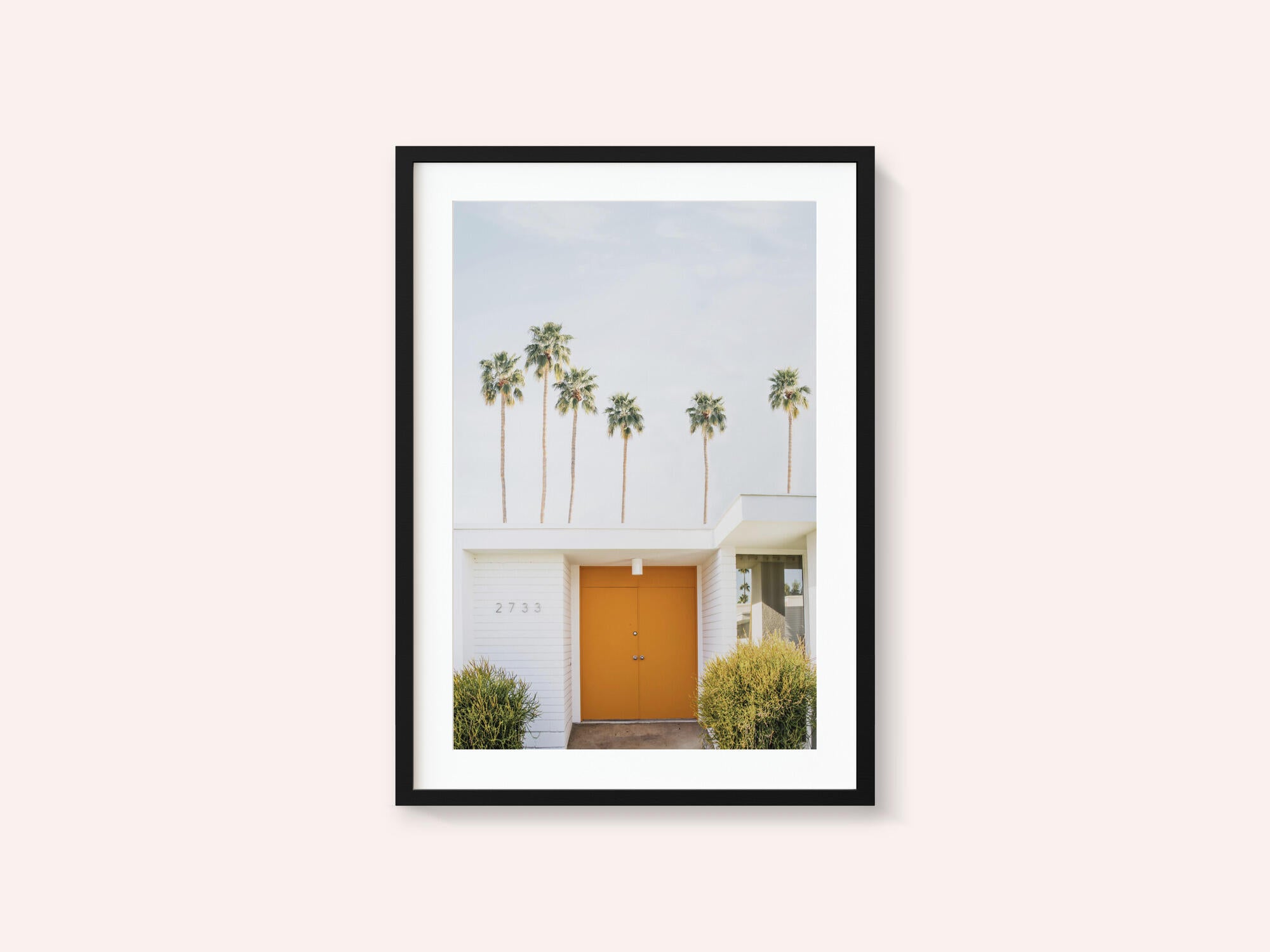 Palm Springs 1
