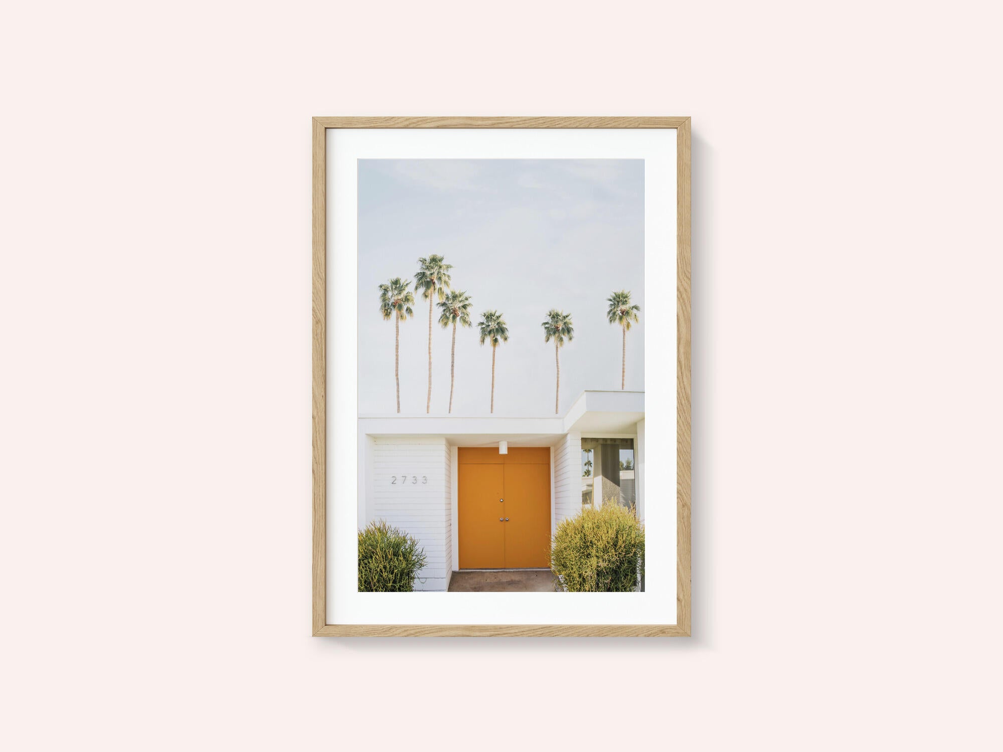 Palm Springs 1
