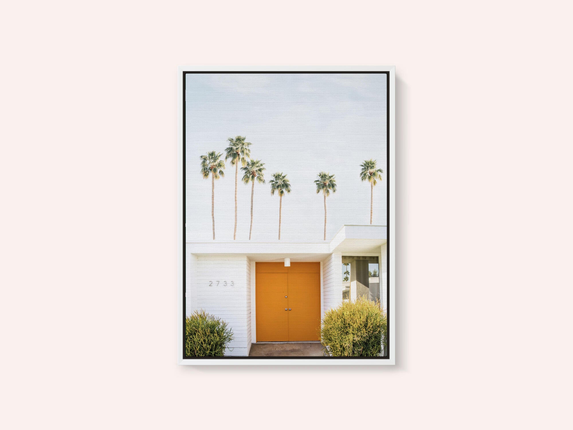 Palm Springs 1