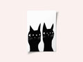Two black cats