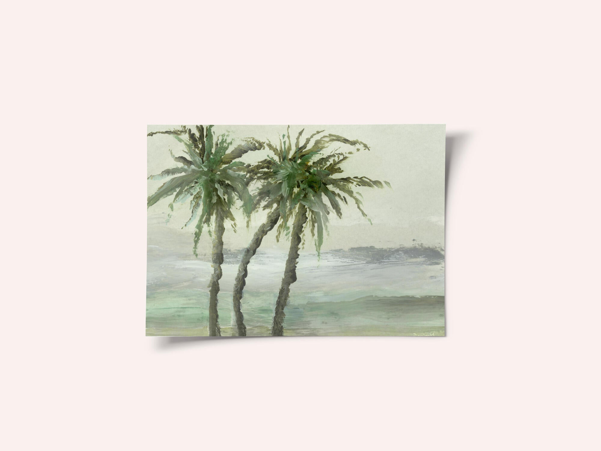 Windy Palms