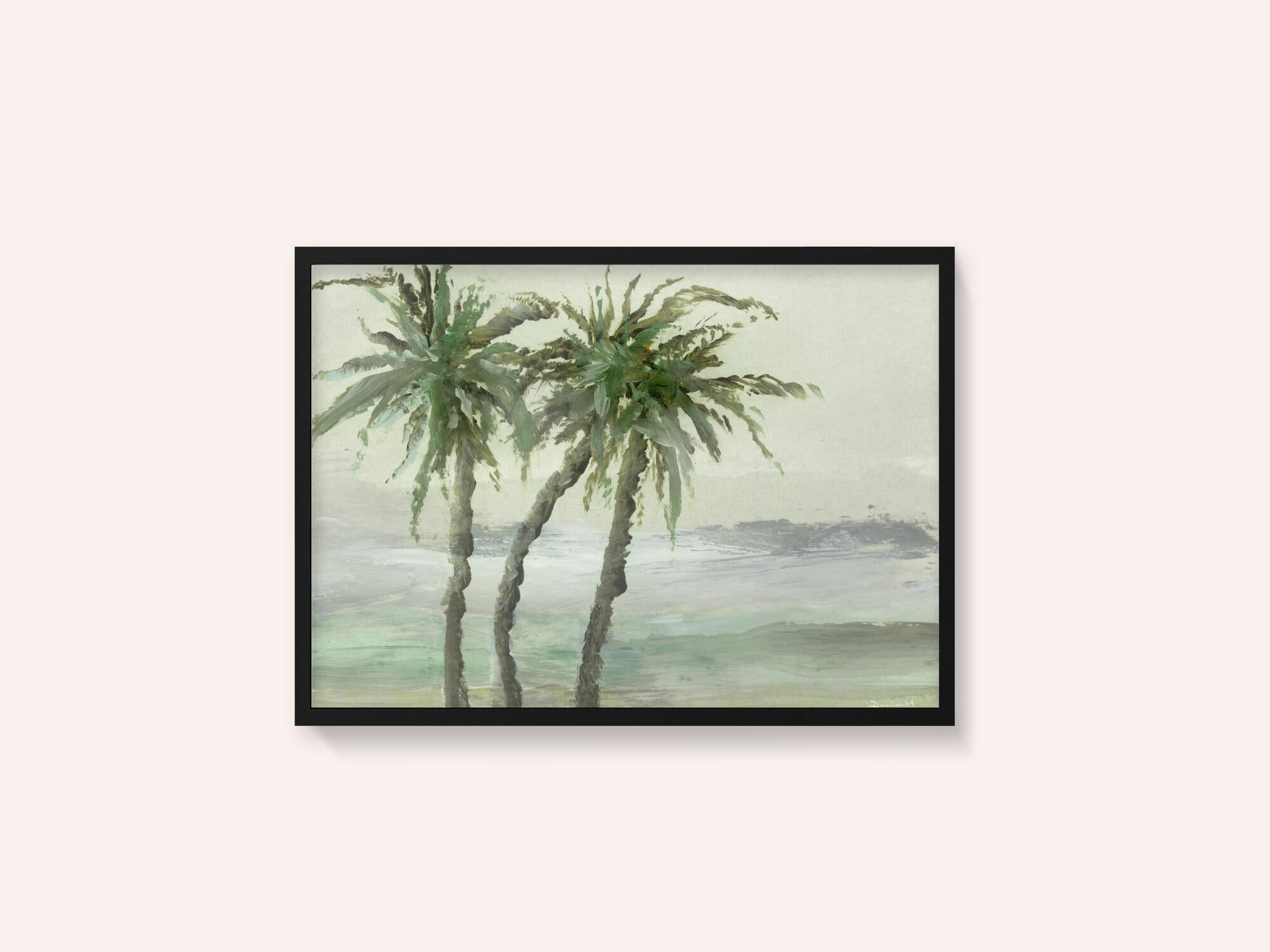 Windy Palms