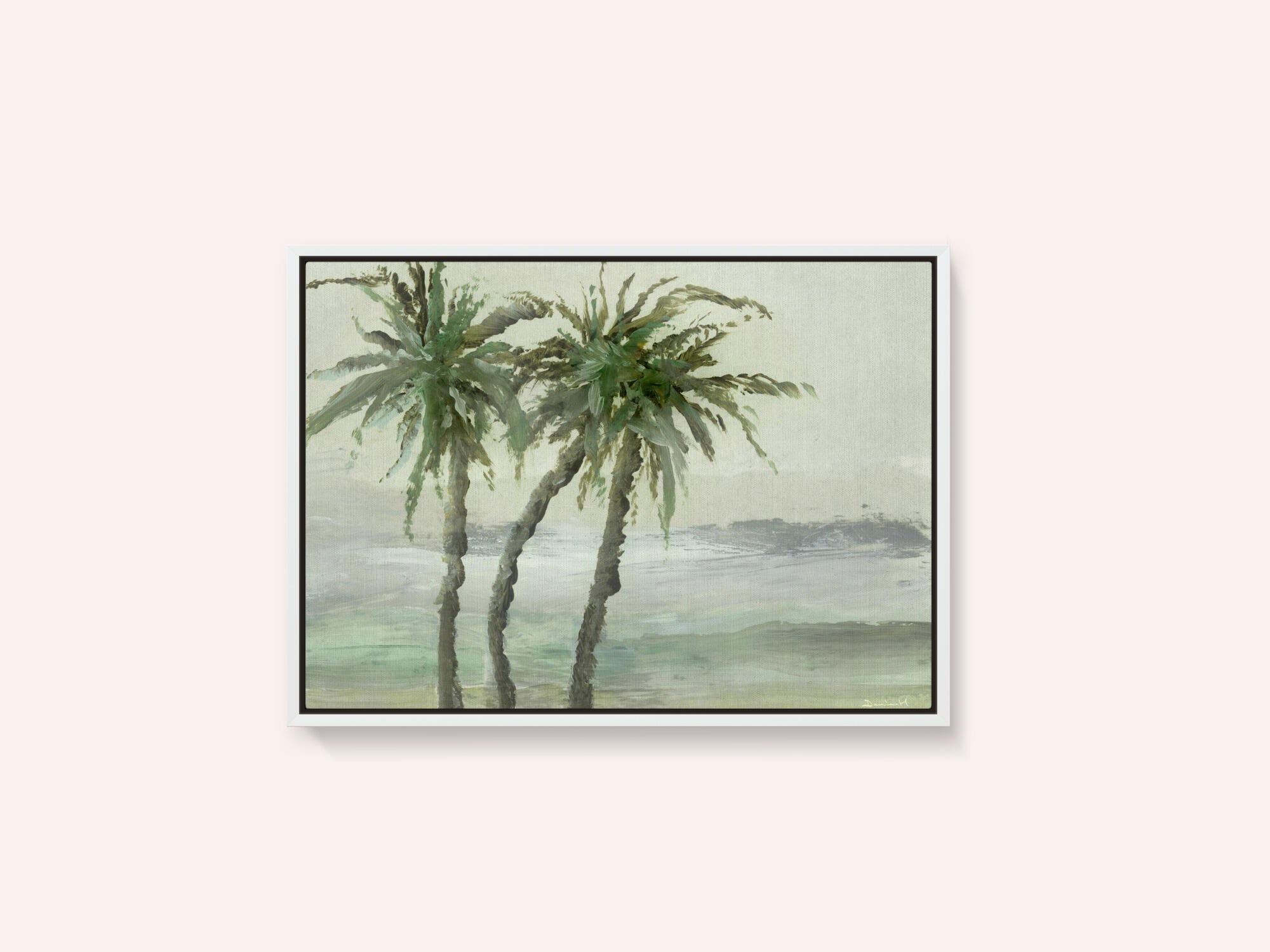 Windy Palms