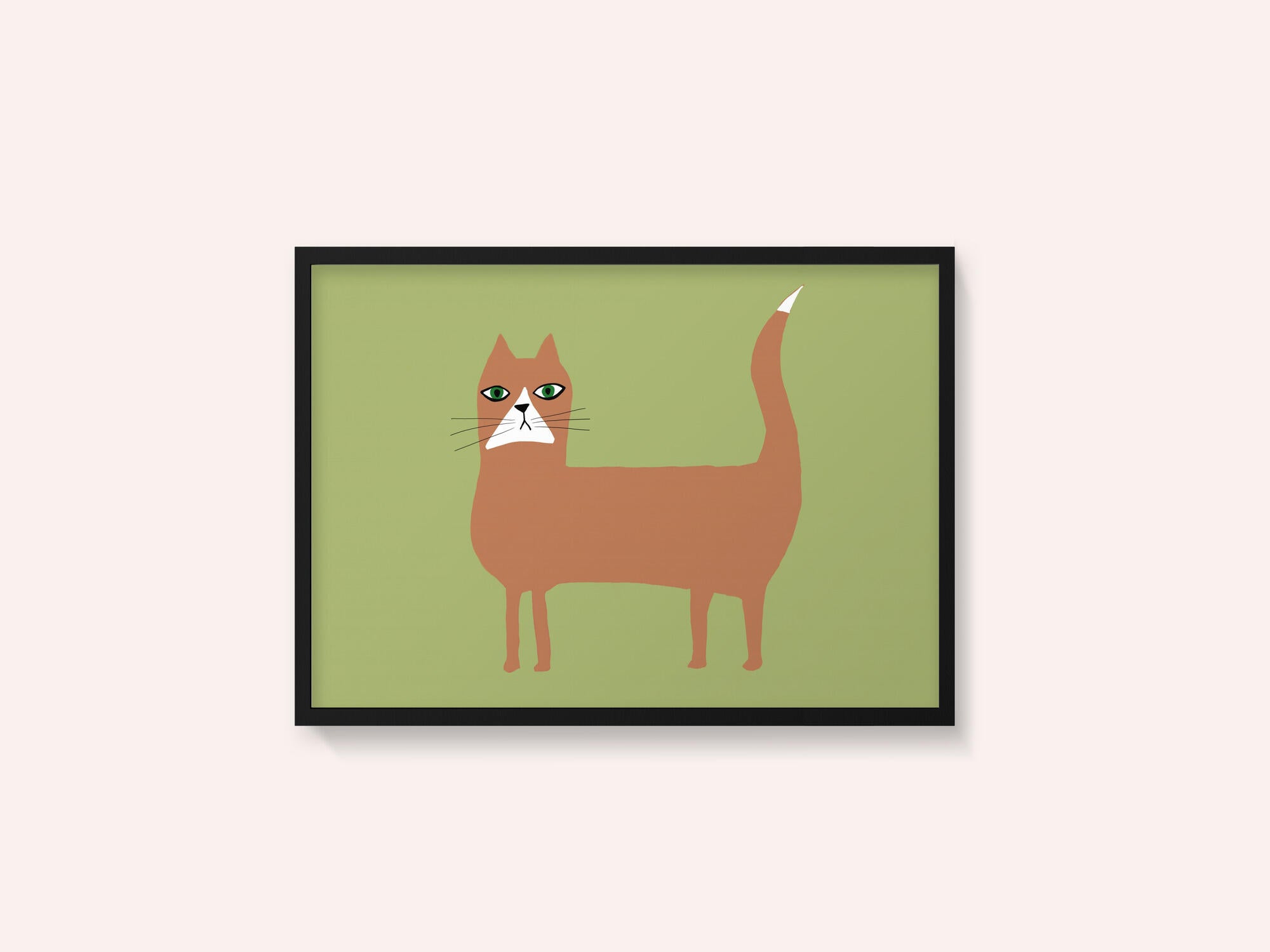 Cat ginger orange