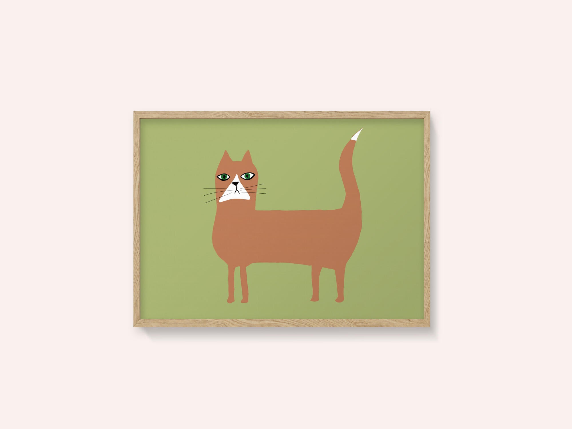 Cat ginger orange