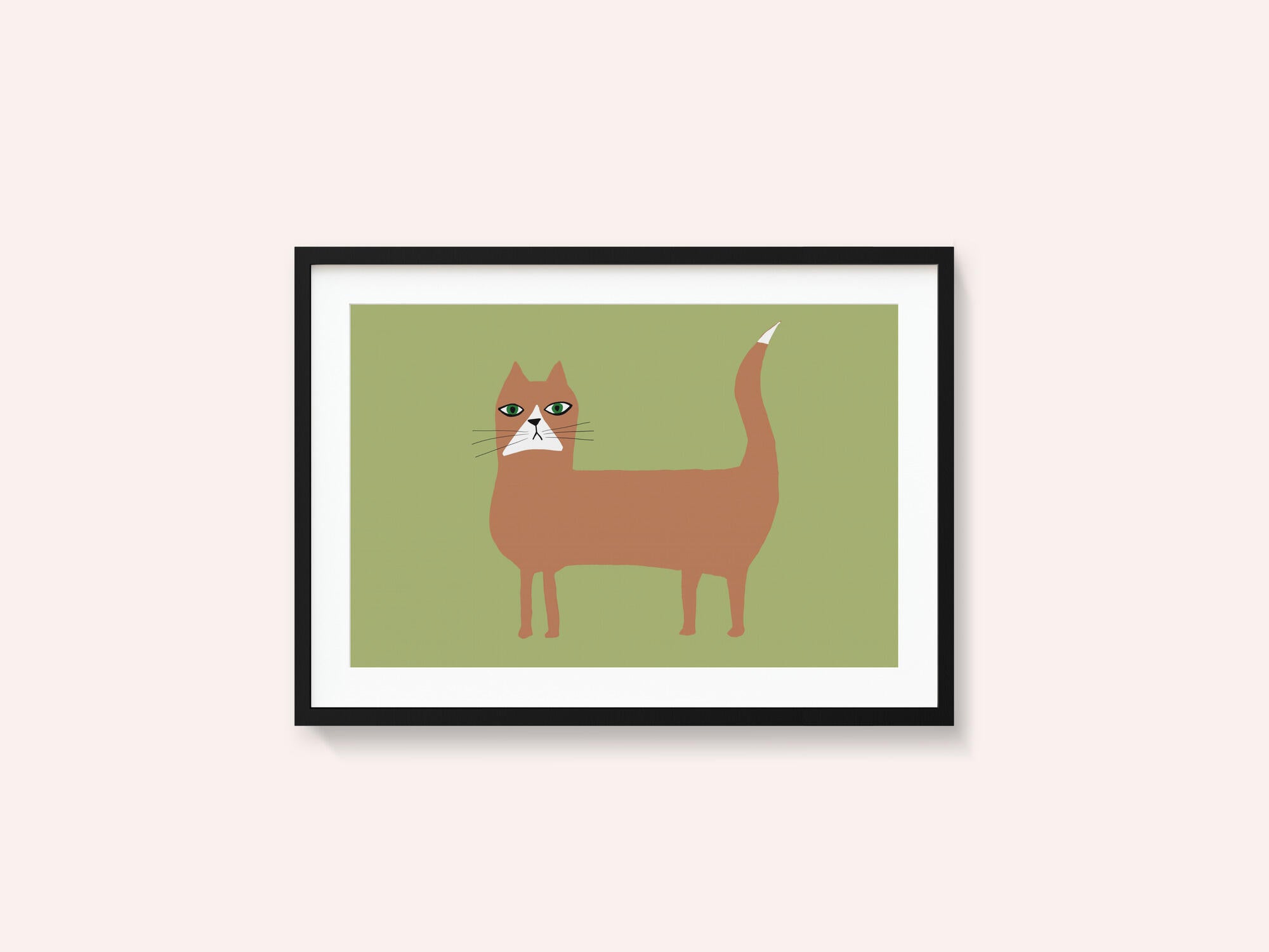 Cat ginger orange