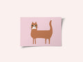 Cat ginger orange