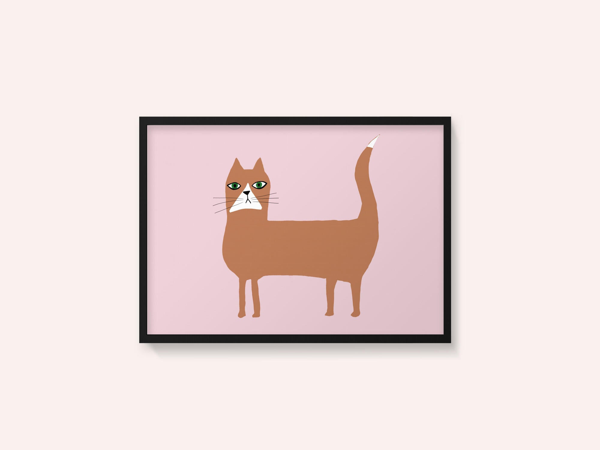Cat ginger orange
