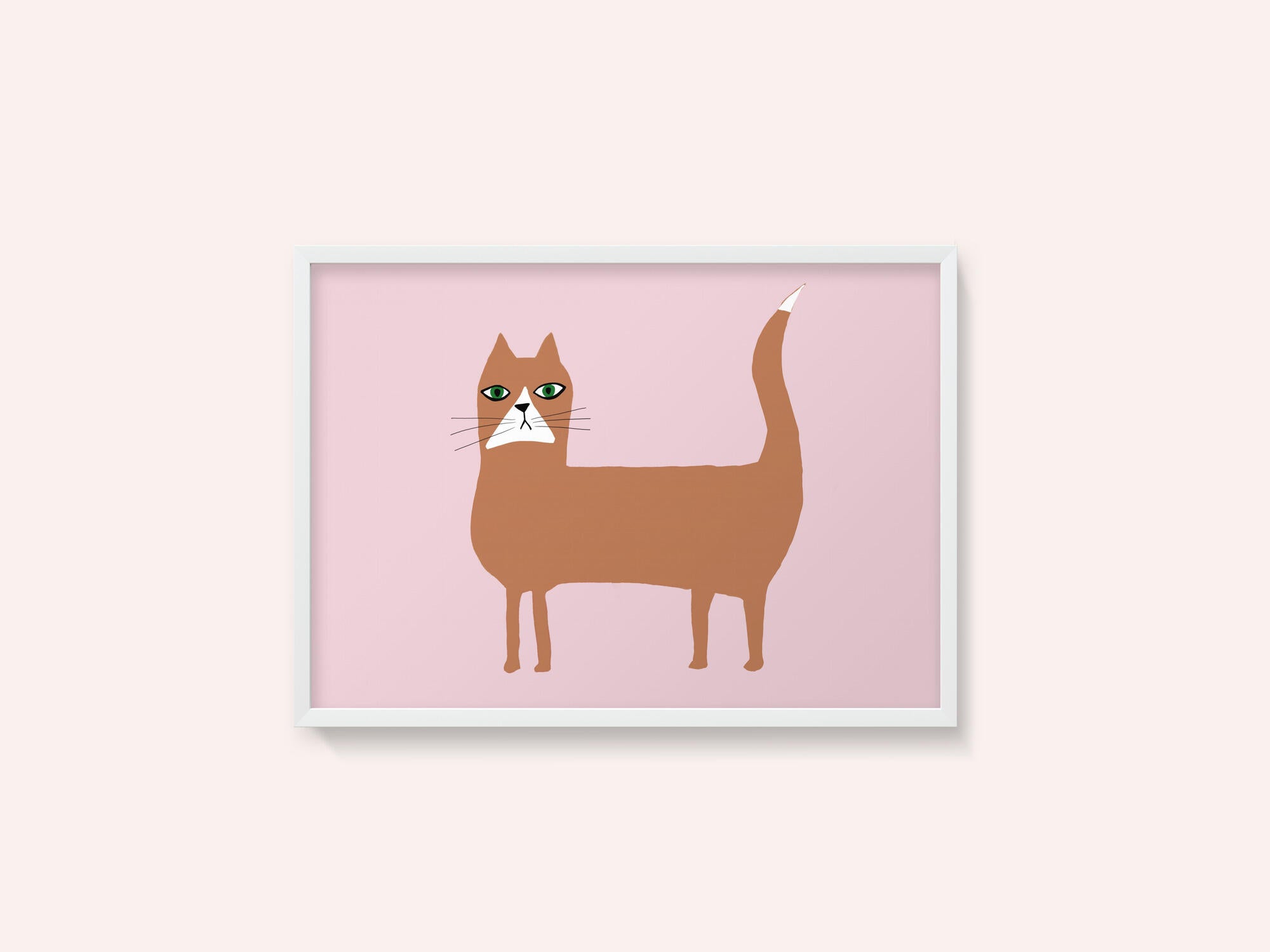 Cat ginger orange