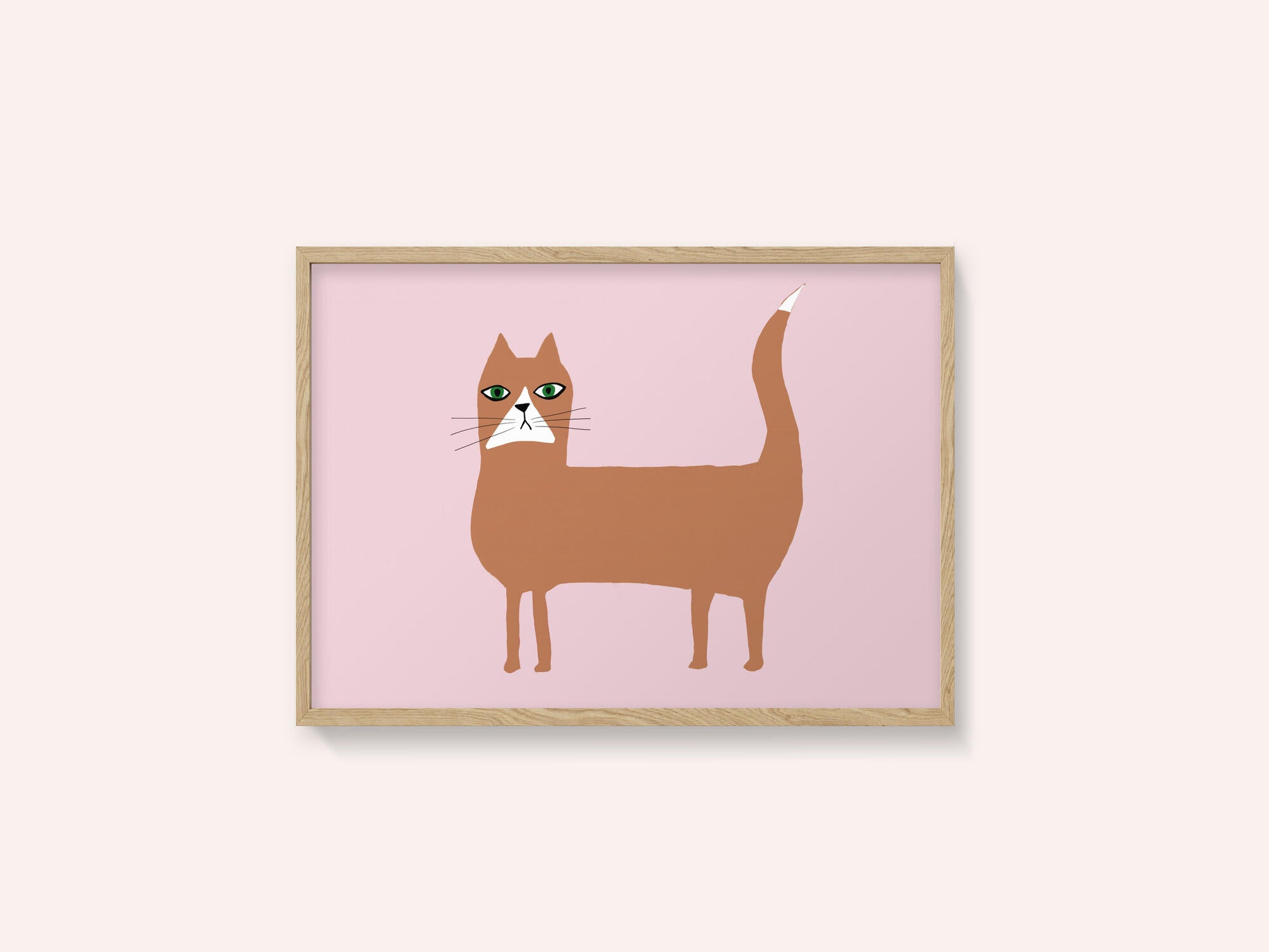 Cat ginger orange