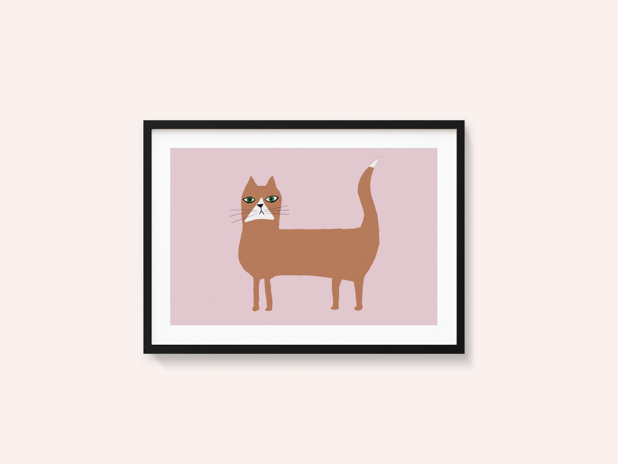 Cat ginger orange